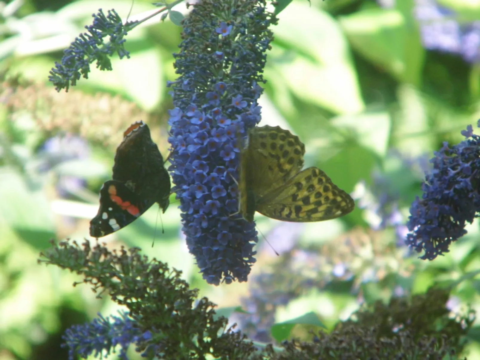 Am malerischen Nepperminer See-Image-tags.info