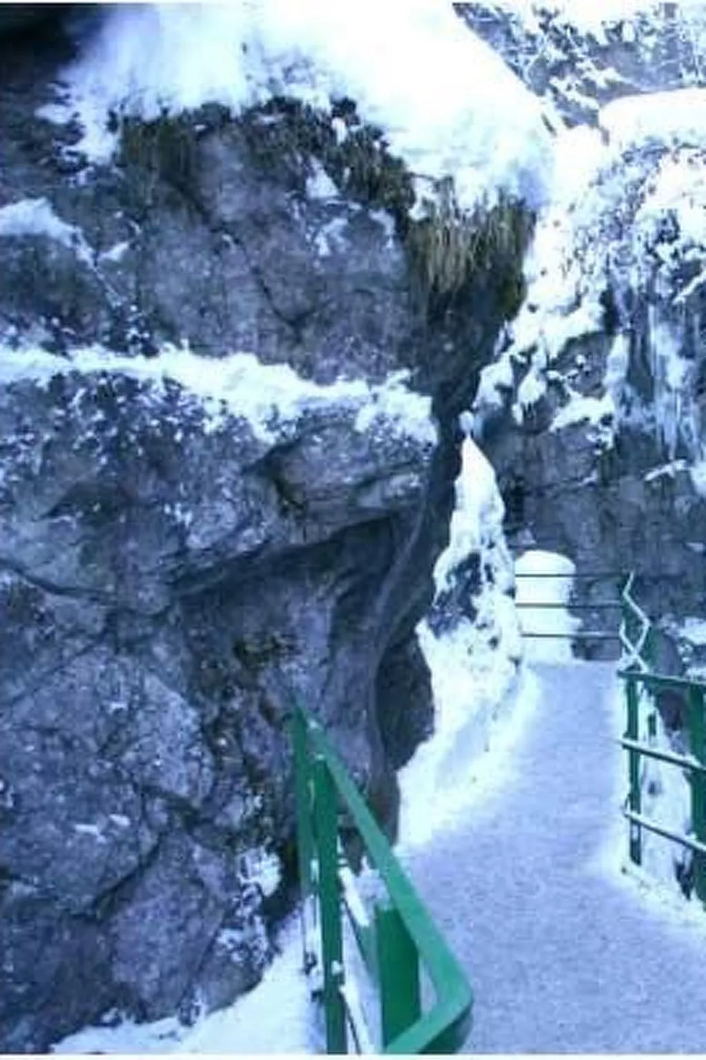 Falkenberg Wh 218-Dehors