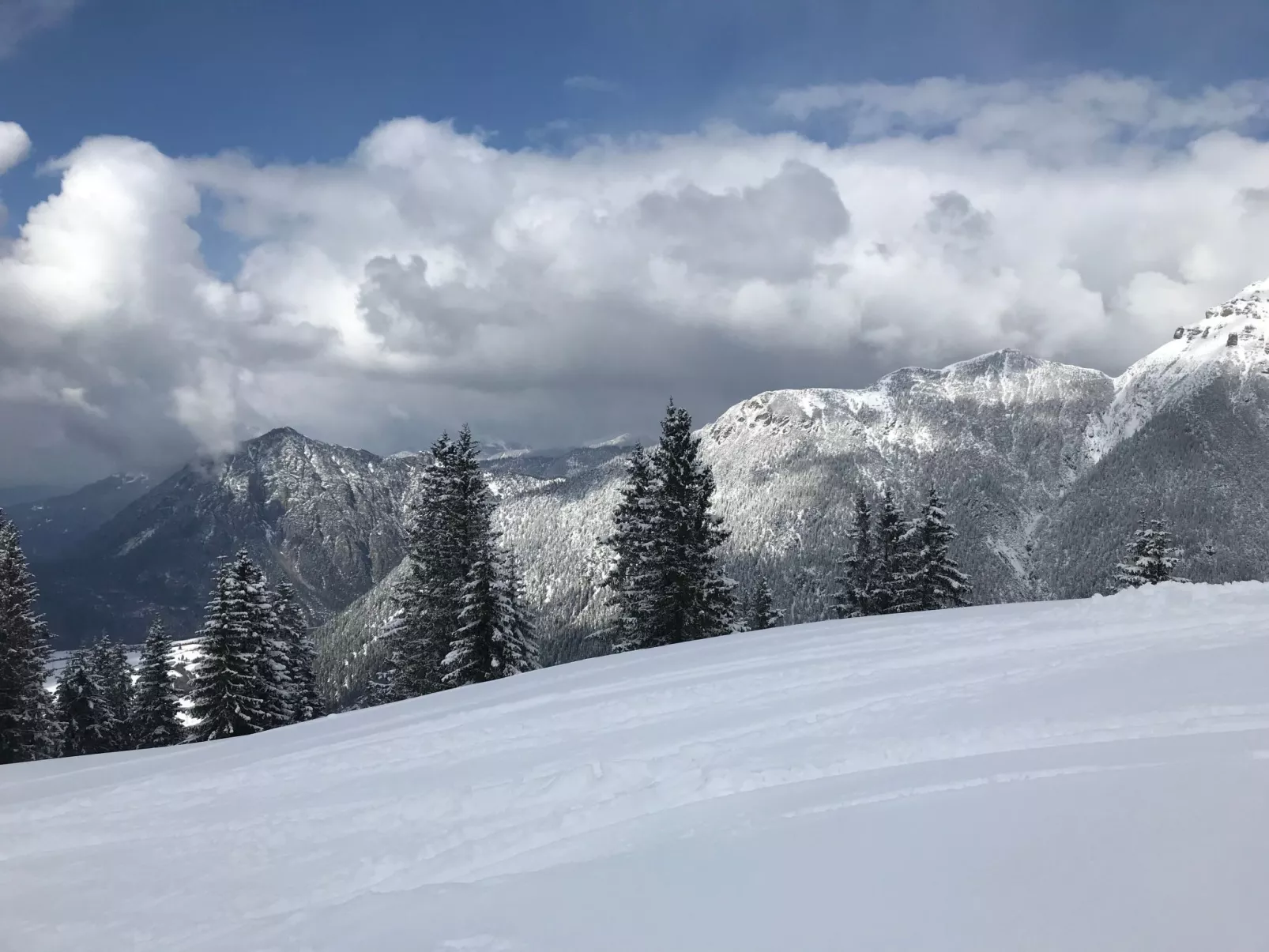 Pony-Ziegen-Hasen-Ranch in Bichlbach-Outside