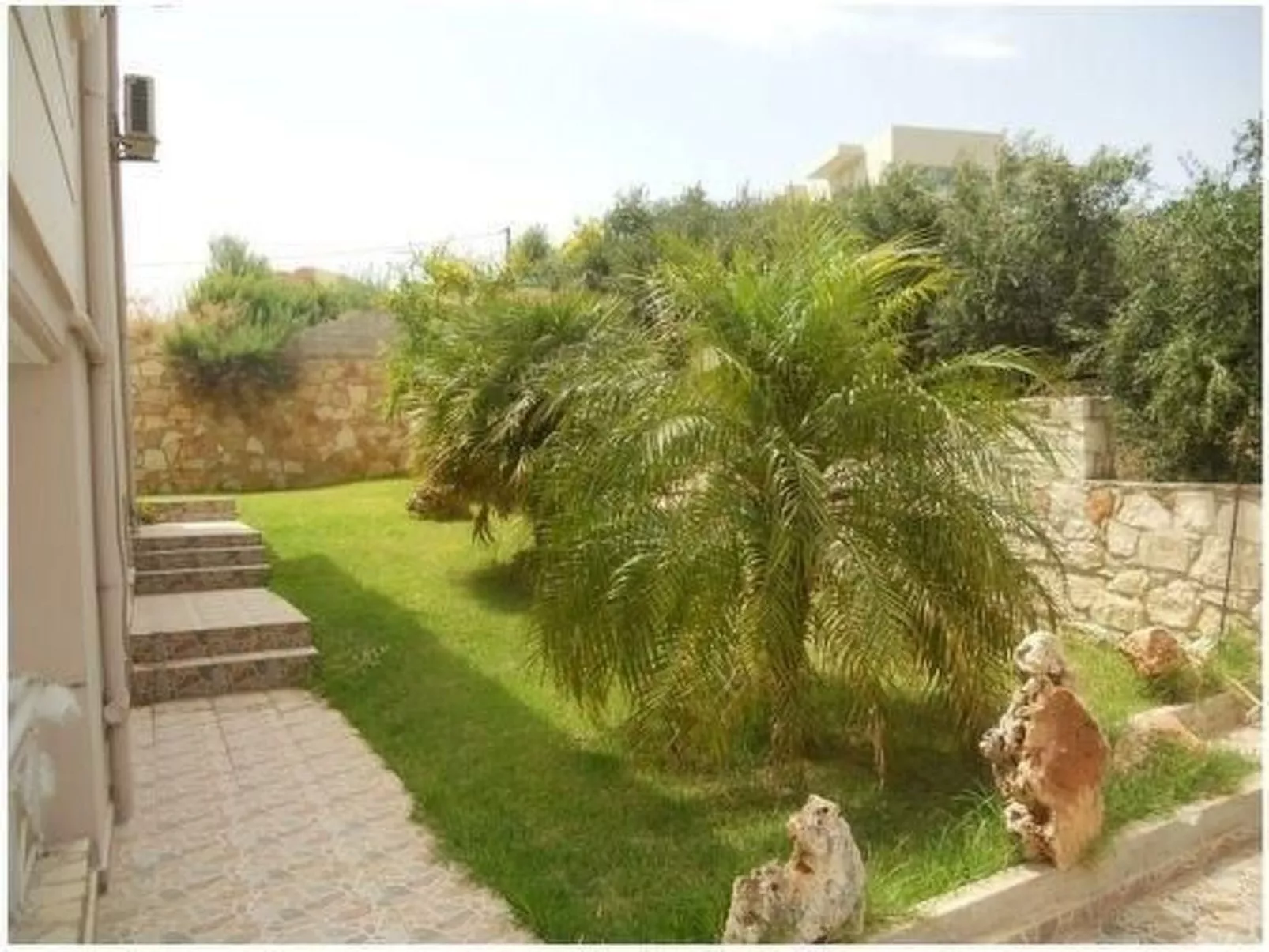 Cactus villa-Draußen