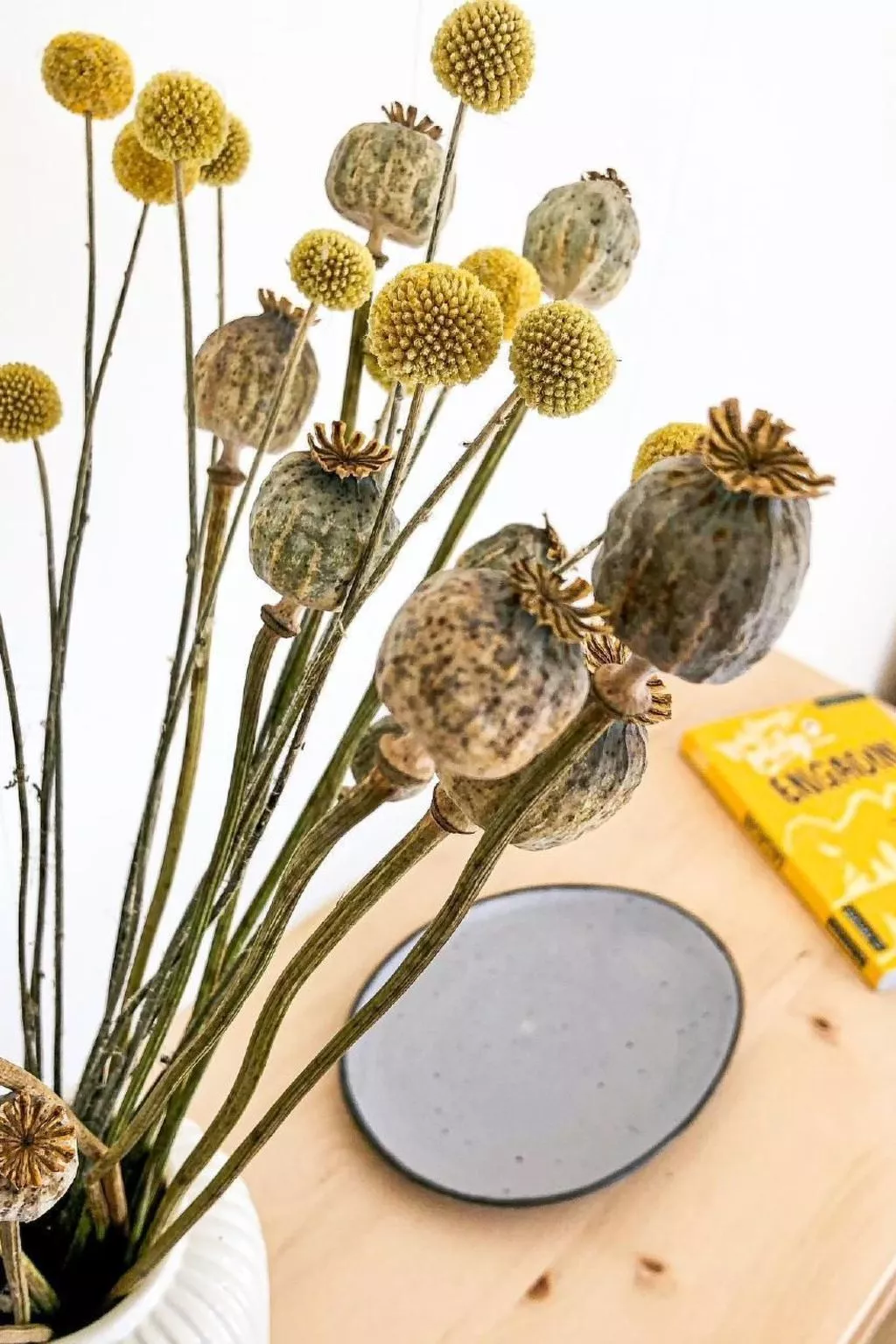 Villa Fried, Natüra - Drinnen