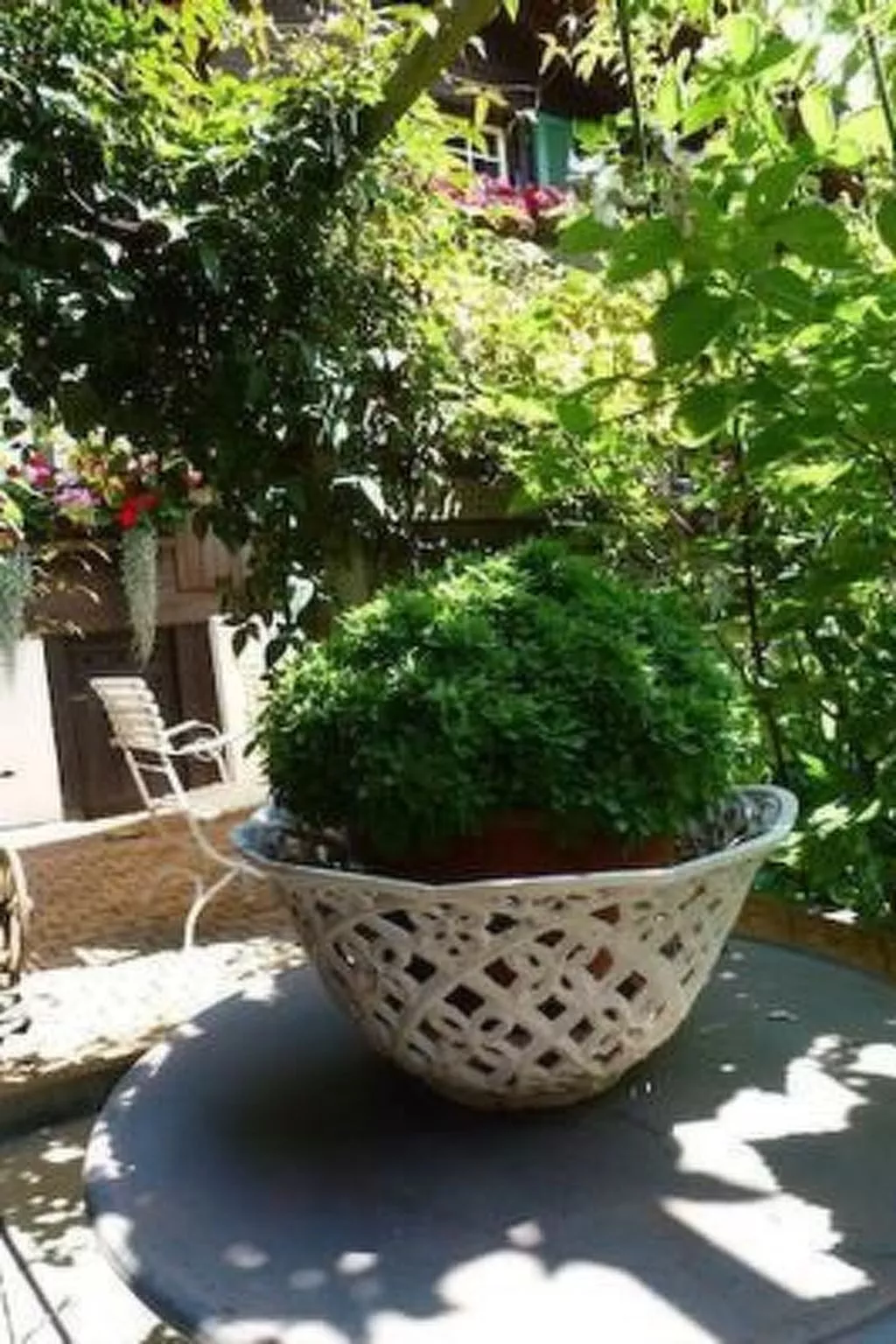 Flädermuus-Image-tags.info