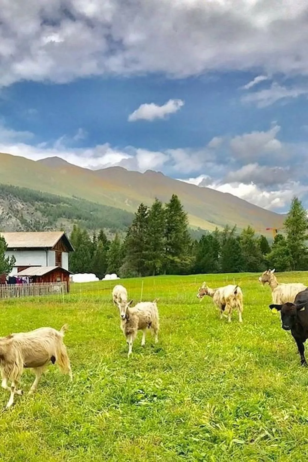 Chesa Ladina-Outside