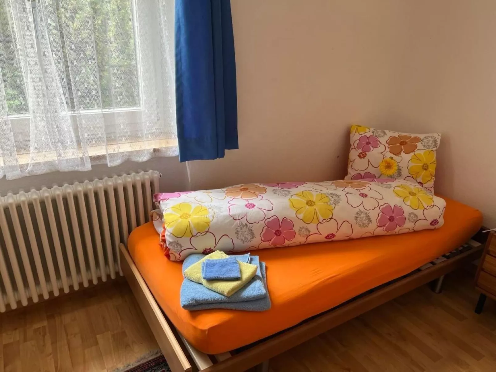 Carina 7-Image-tags.info