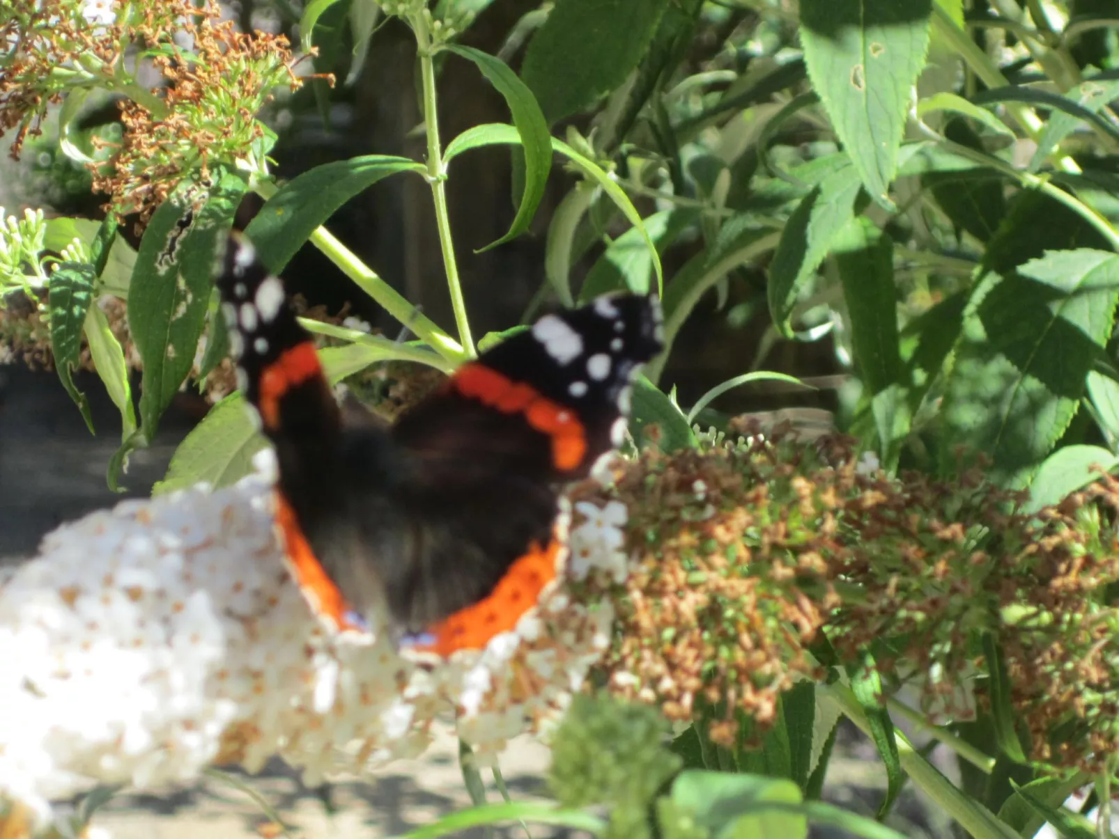 Ferienwohnungen Hohl-Drinnen