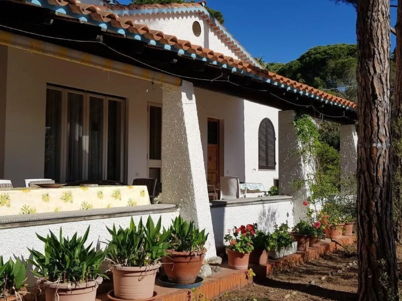 Mare e Pineta-Drinnen