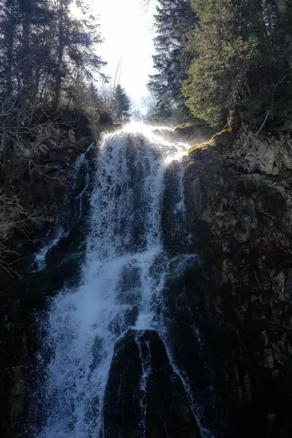Kolibri Hochparterre-Outside