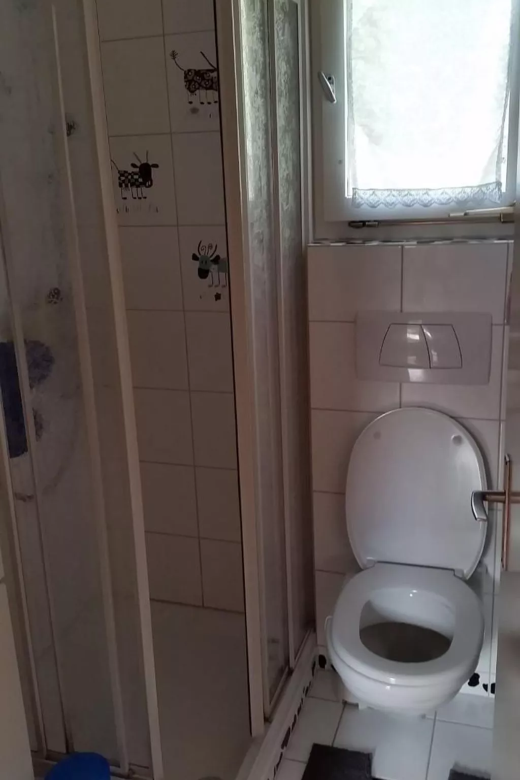 Iszapfe-Image-tags.info