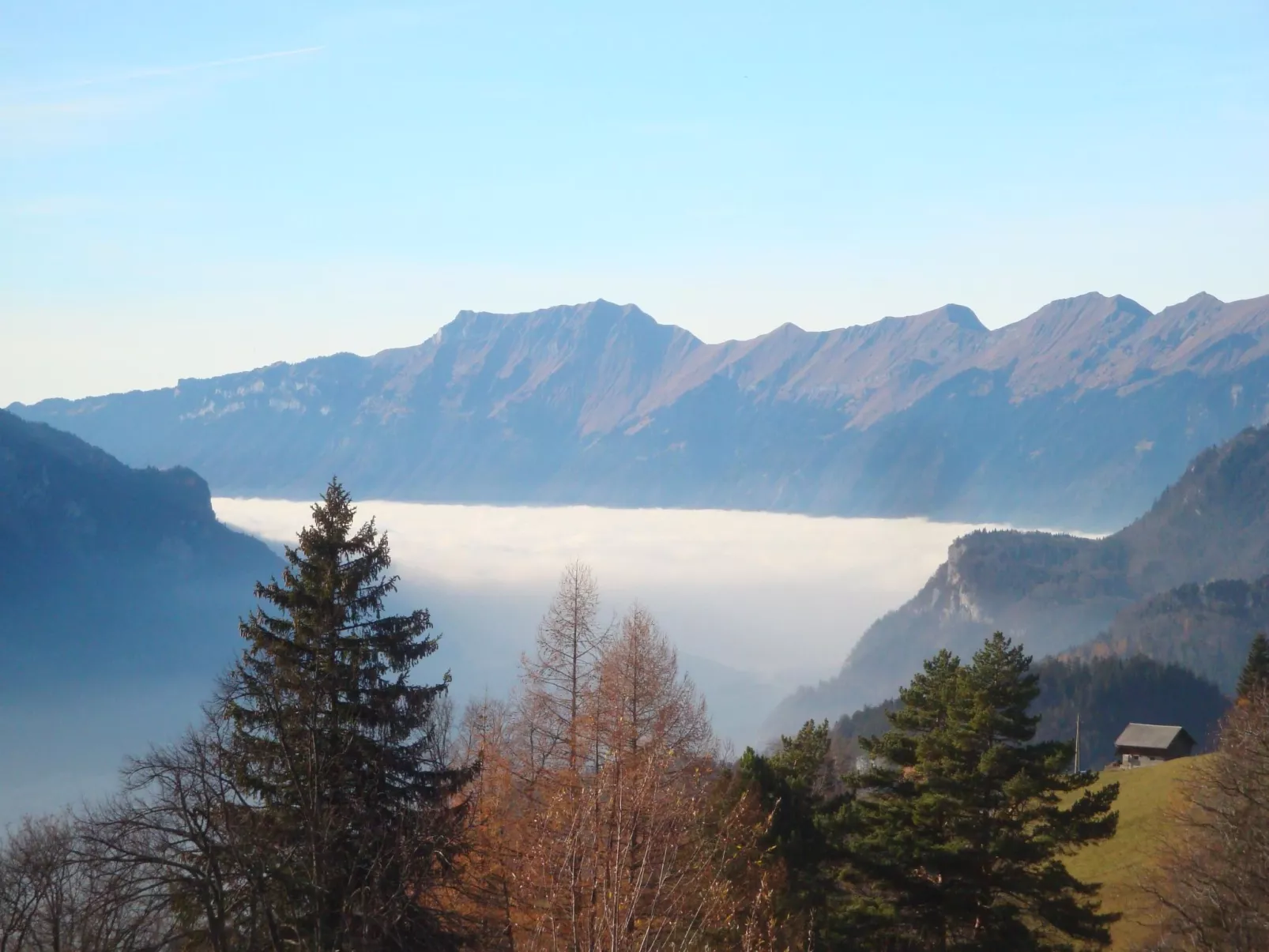 Schaad 4-Bett-Wohnung-Outside