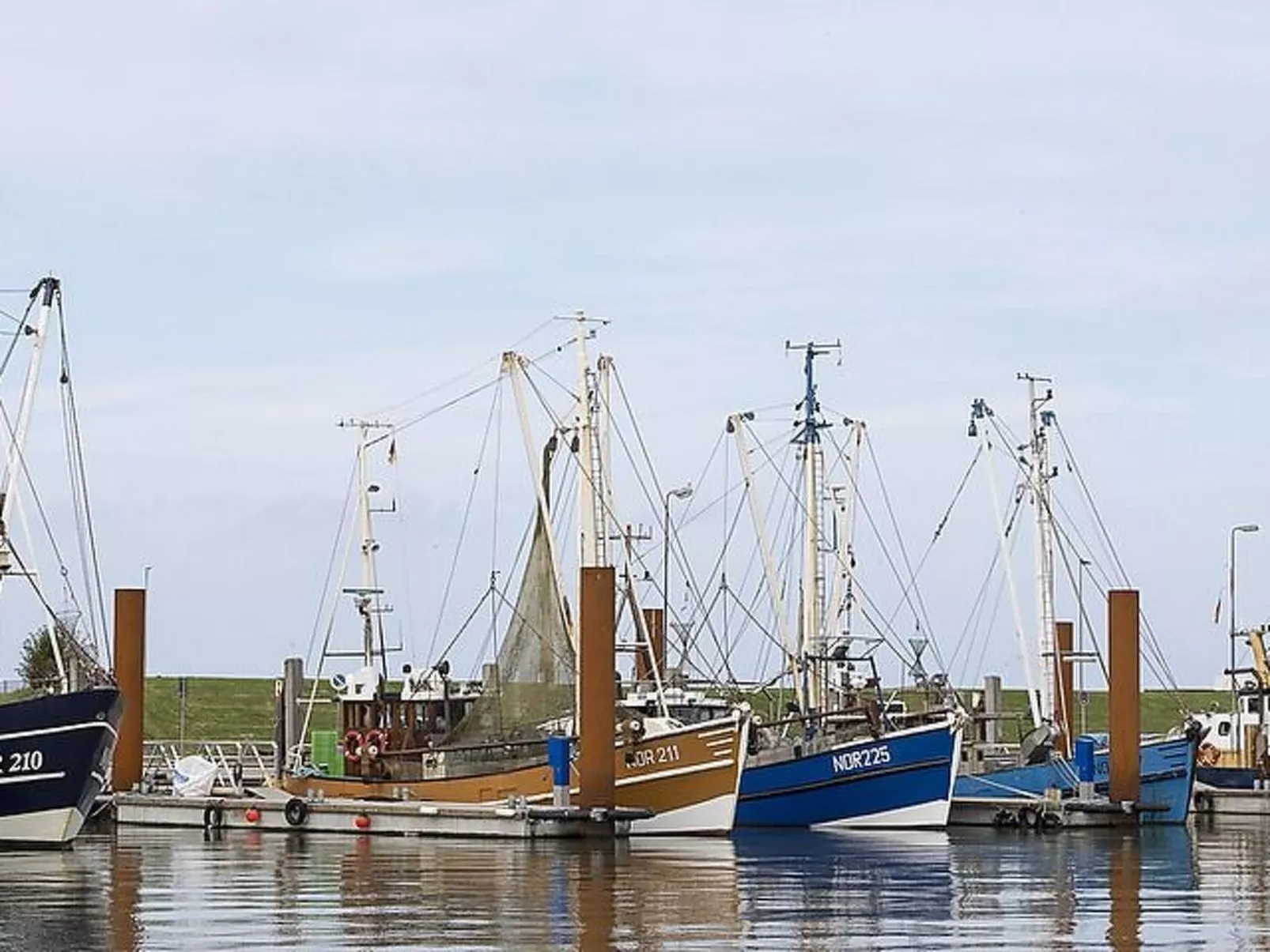 Wohnung in Norddeich direkt am Strand-Dehors