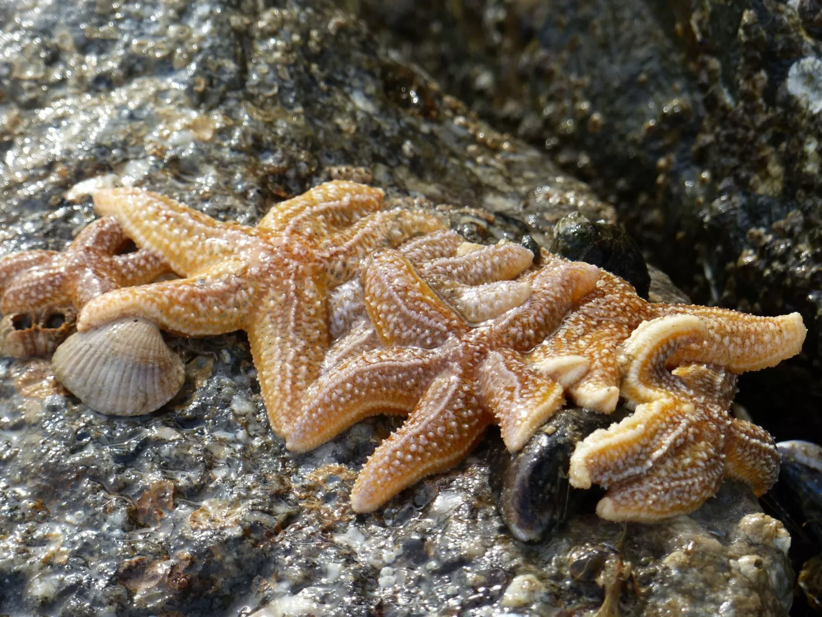 Appartement mit eigenem Parkplatz-Dedans