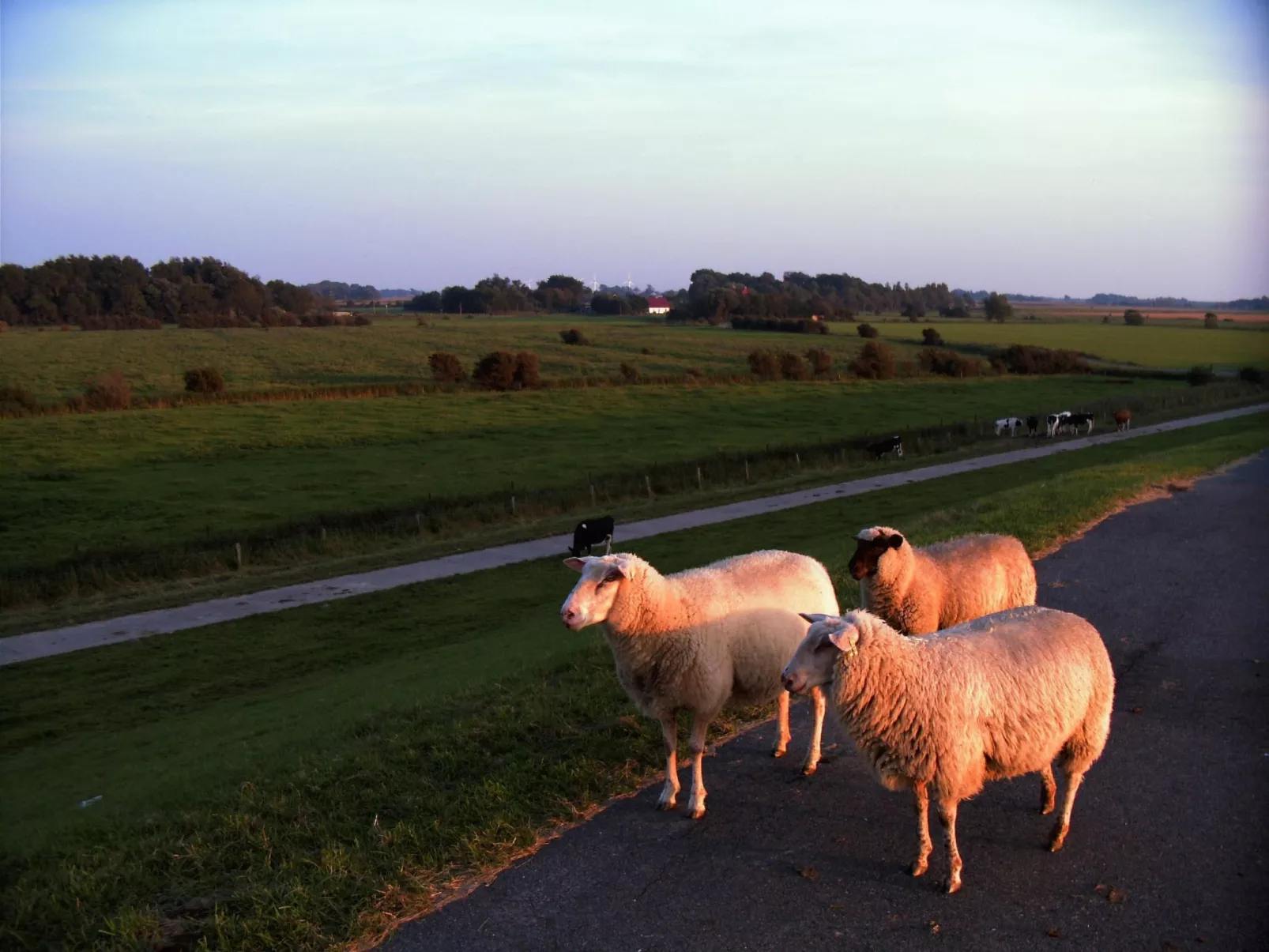 Komfortable Ferienwohnung mit großem Garten-Dehors
