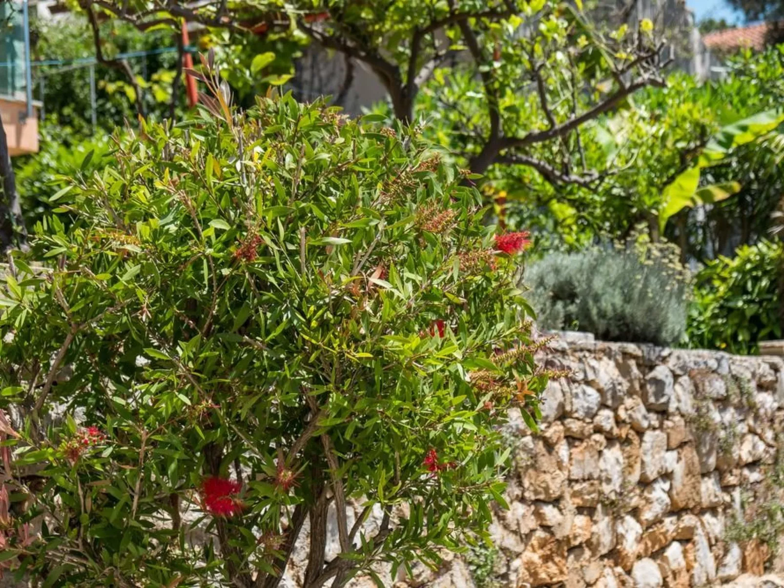 Villa Magnolia - Apartment Gardenia-Outside