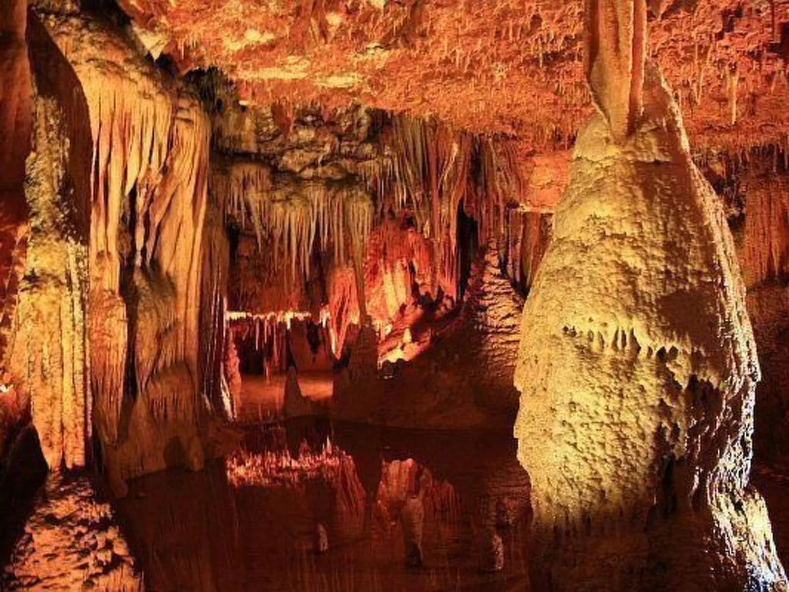 Apartments Vukalovic-Dehors