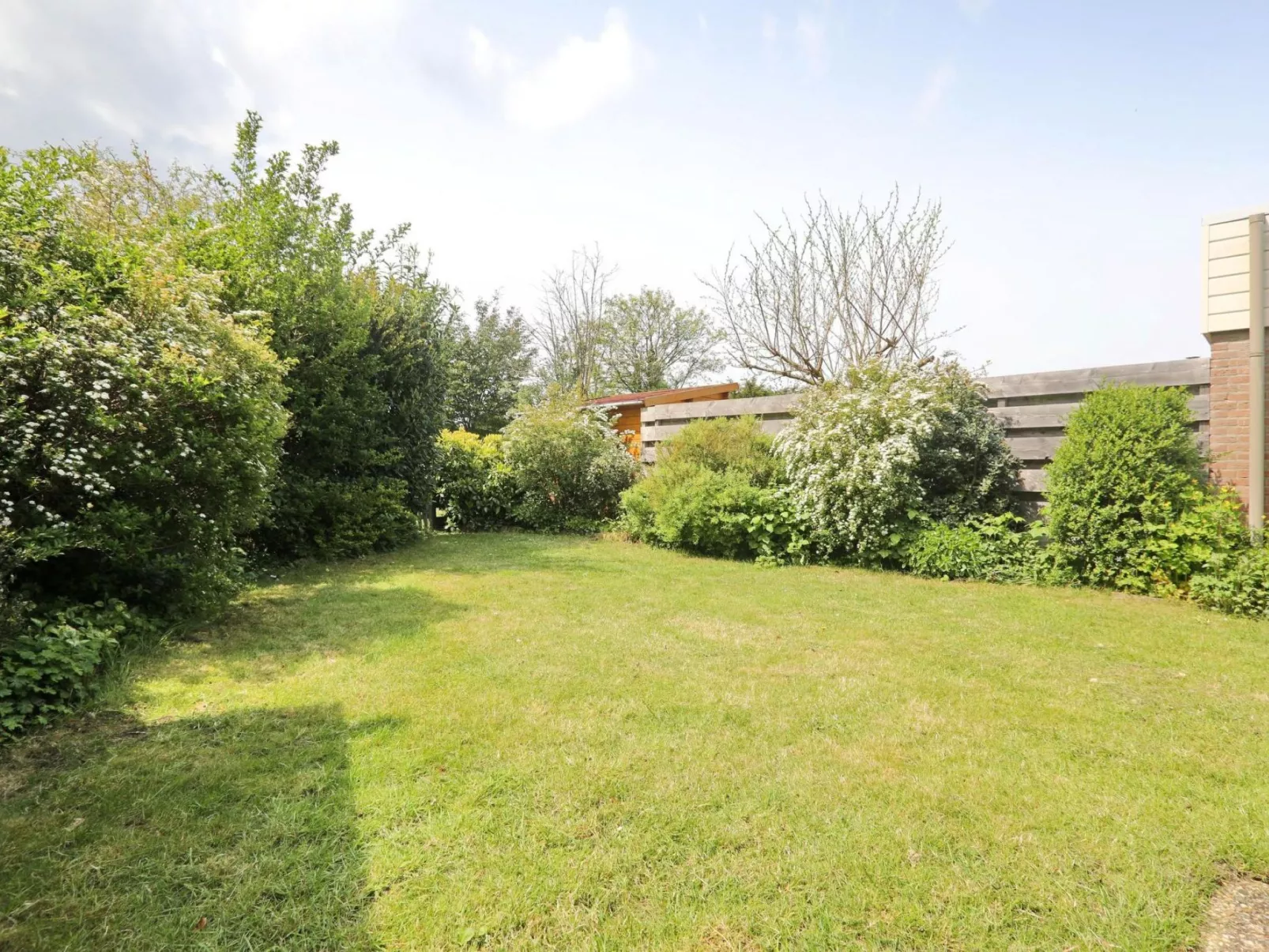 Hollandsche Tulp-Dehors