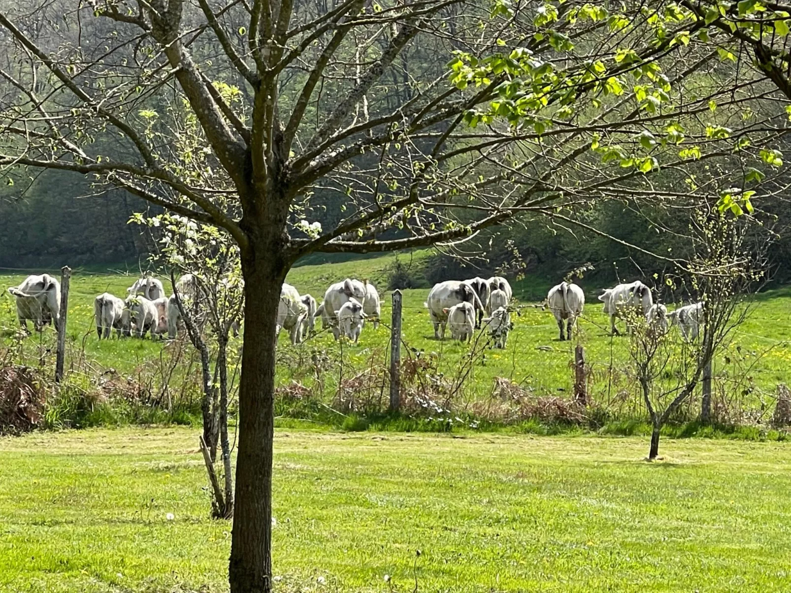Für 6 Pers. mit eigenem Teich-Dehors