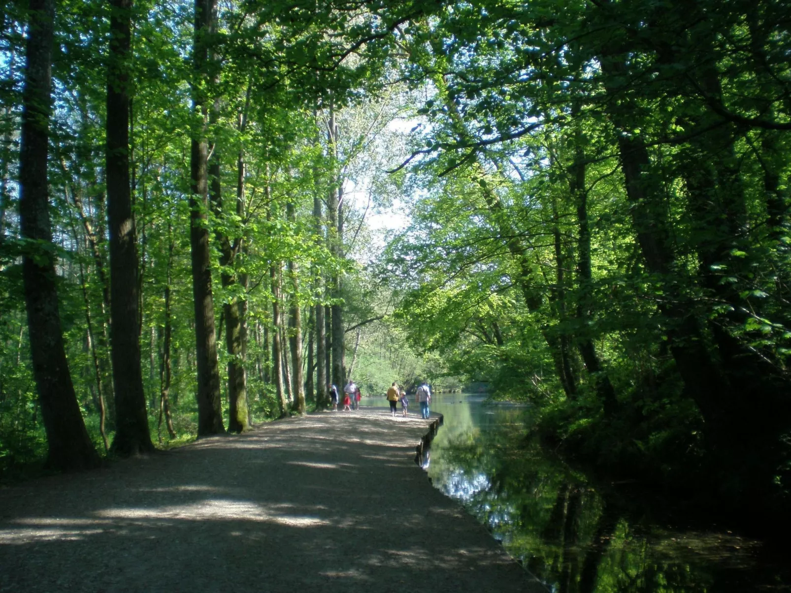 Le Clos du Hêtre-Dehors