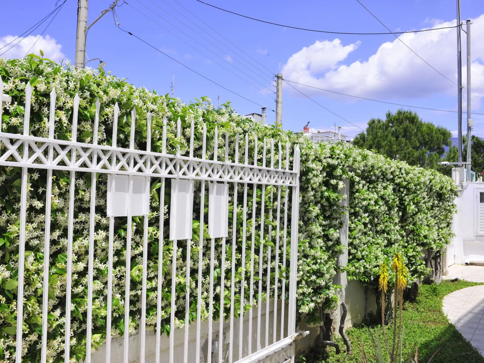 "Seaside Villa" in Strandnähe-Dehors