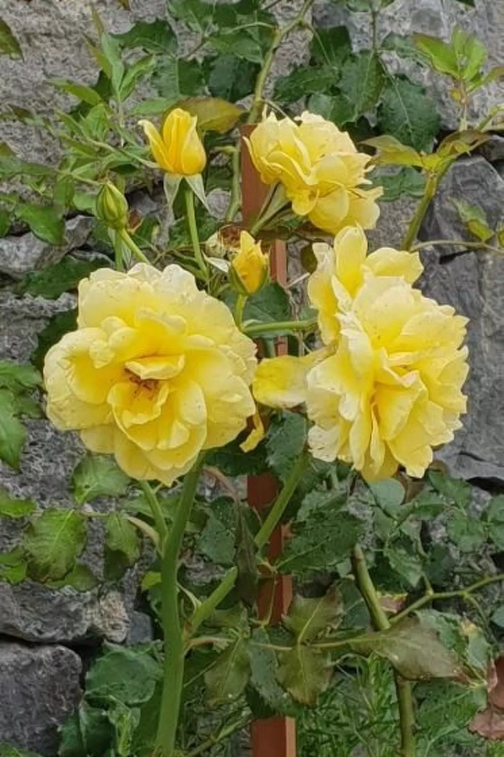 Warmwasser Haus 2-Dehors