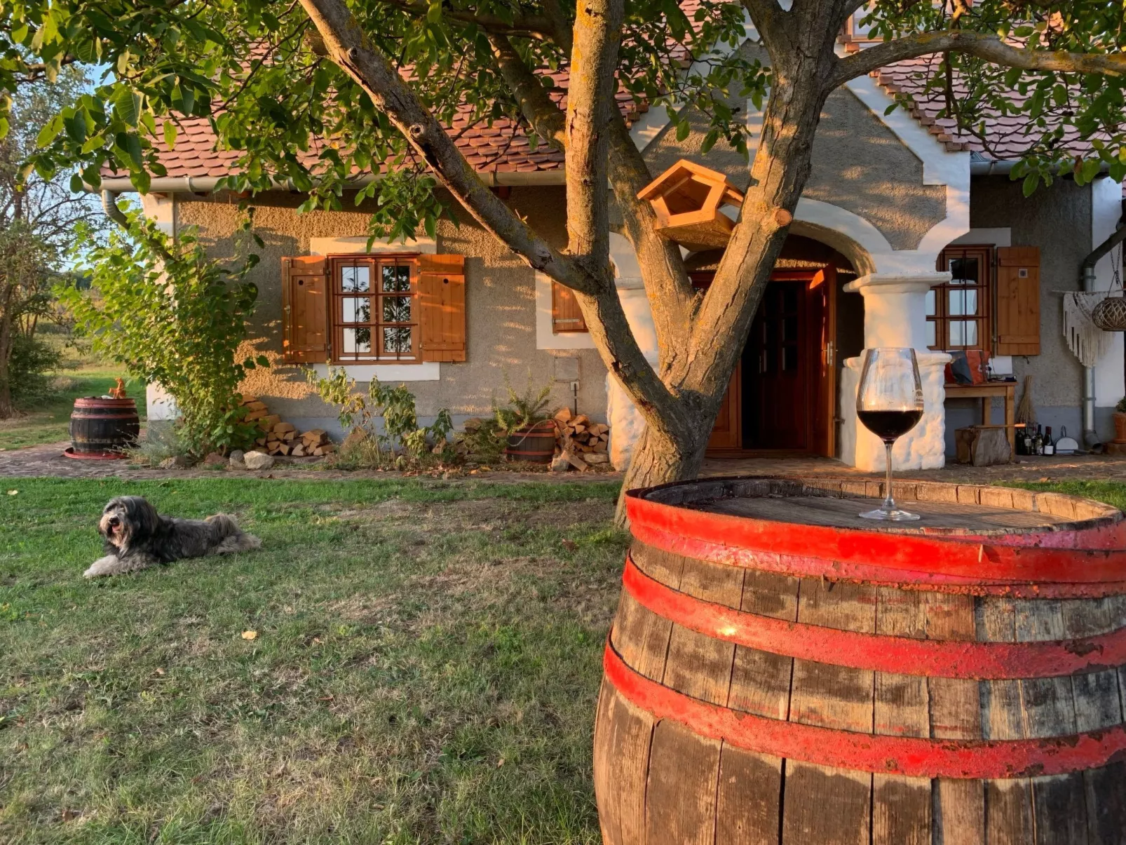 Am Weinberg-Image-tags.info