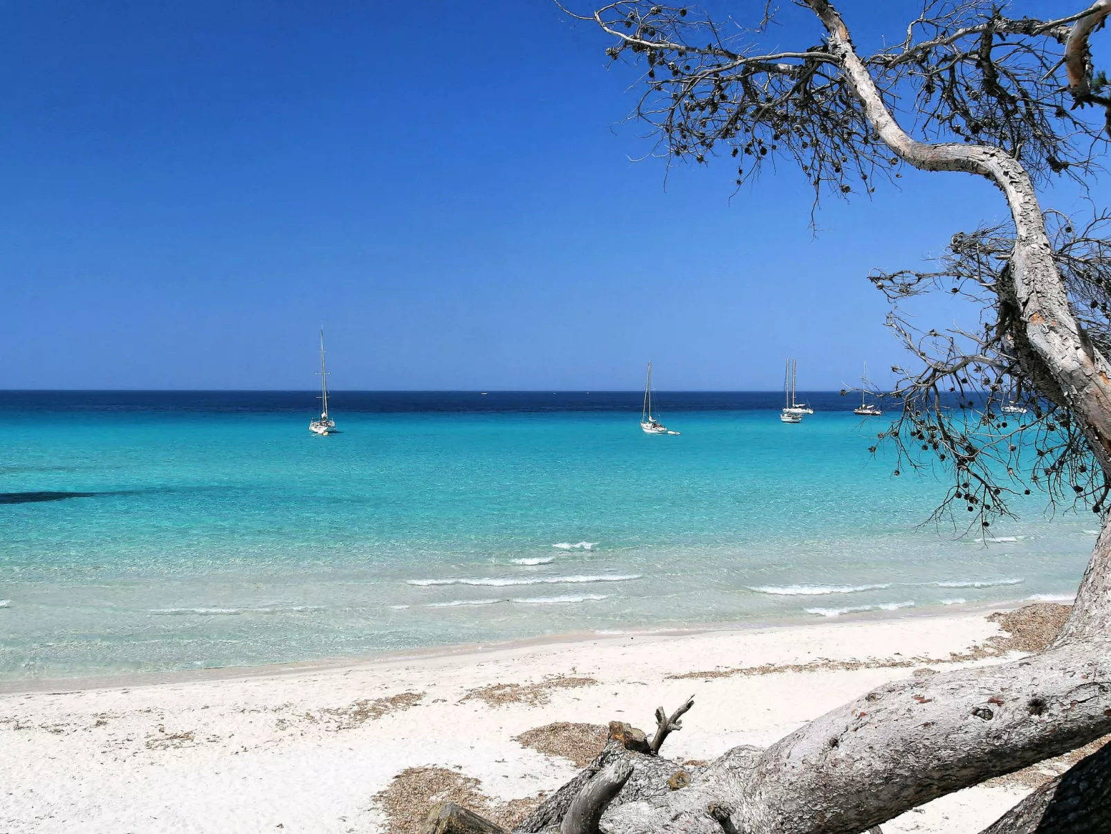 Pont de bateau, Meerblick mit privatem Pool-Environnement