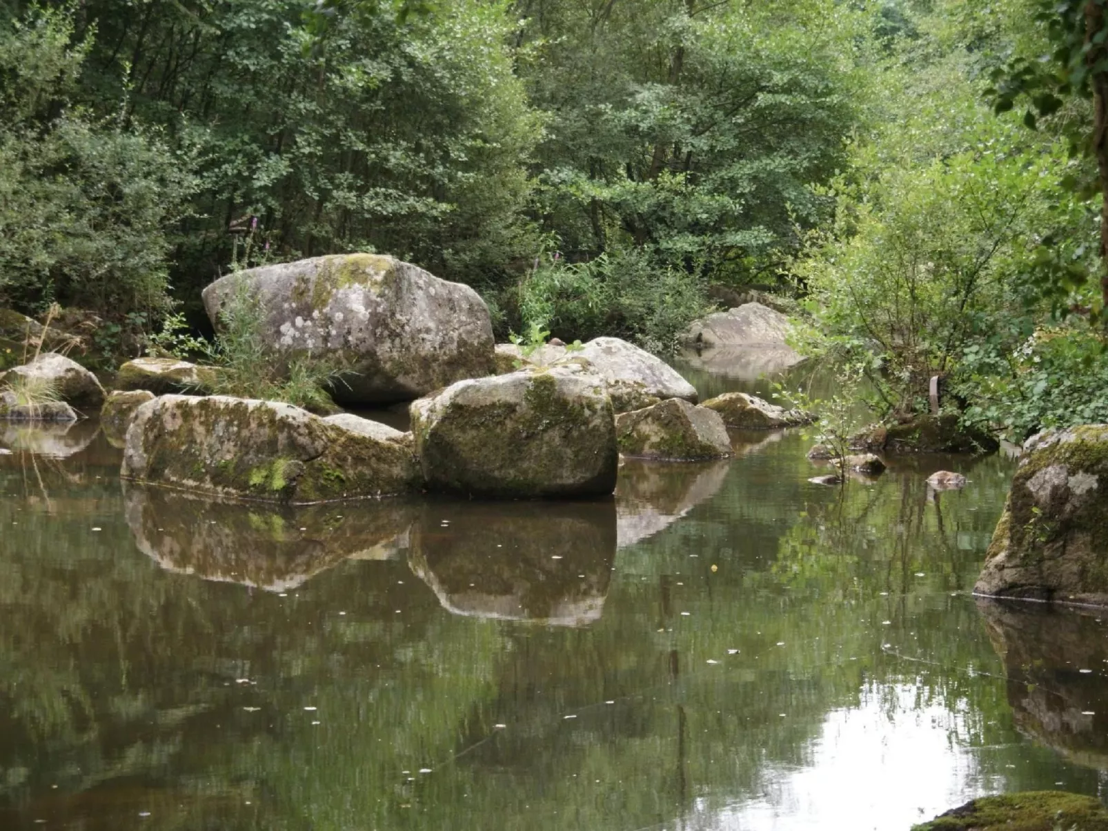 LE HAVRE SAUVAGE-Dehors