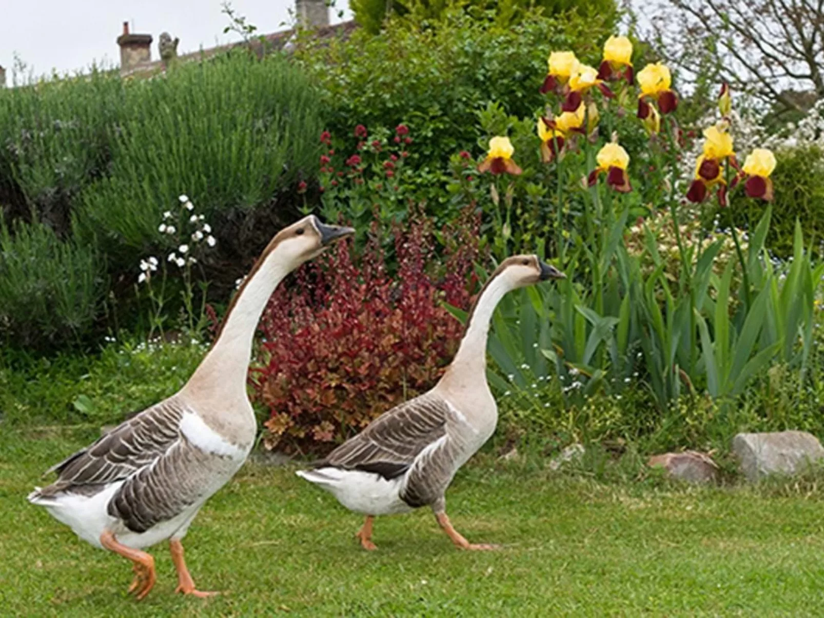 Mit Terrasse-Outside