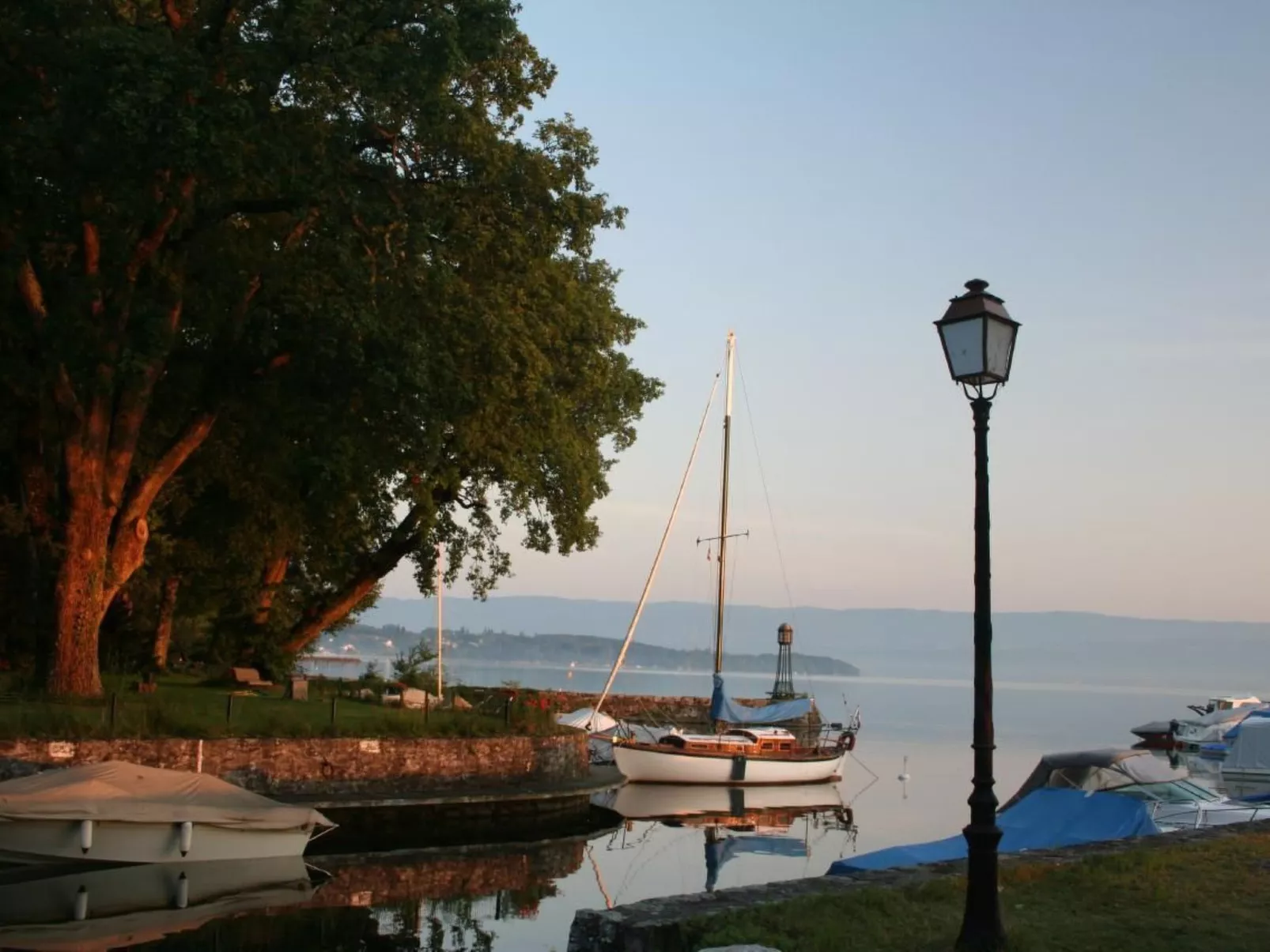 Coudree-Image-tags.info