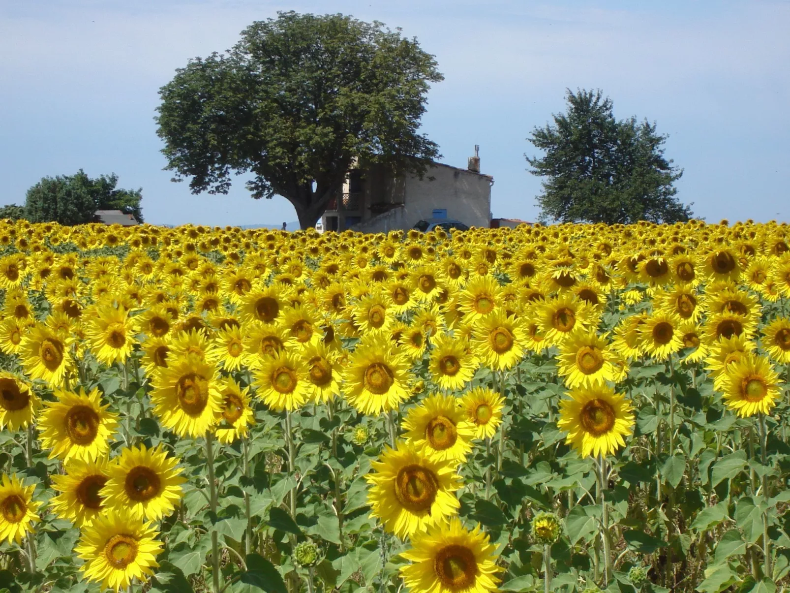 Im Luberon Provence-Image-tags.info
