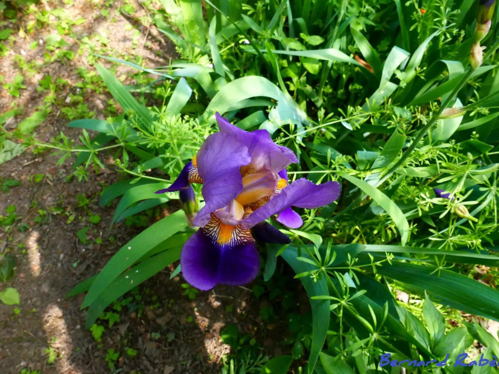 Med-Face Vosges,im Süden,im Herzen der Weinberge,Ruhig,WiFi-Image-tags.info