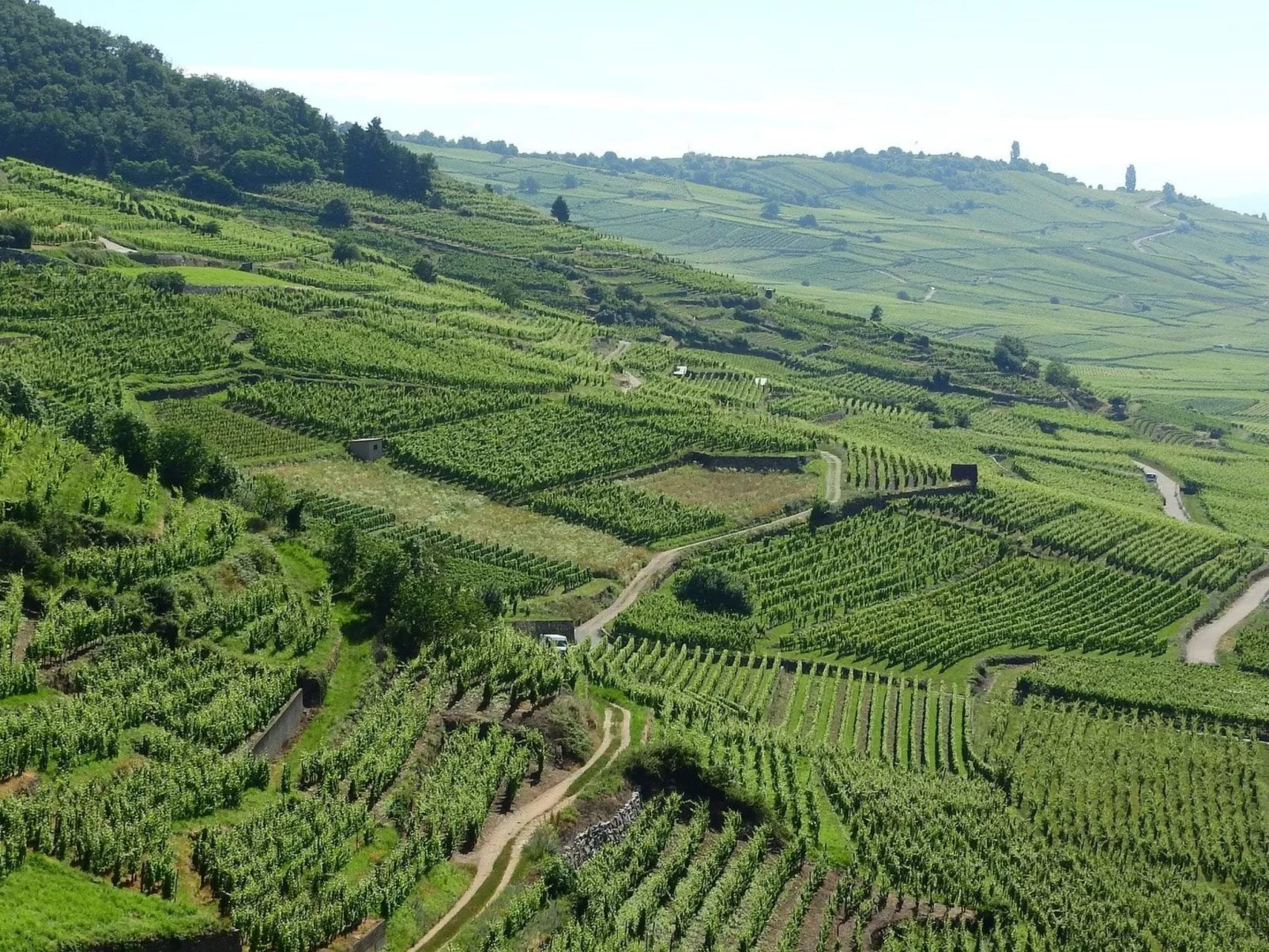 Wohnung "Terre d'Hélène" und Garten-Outside