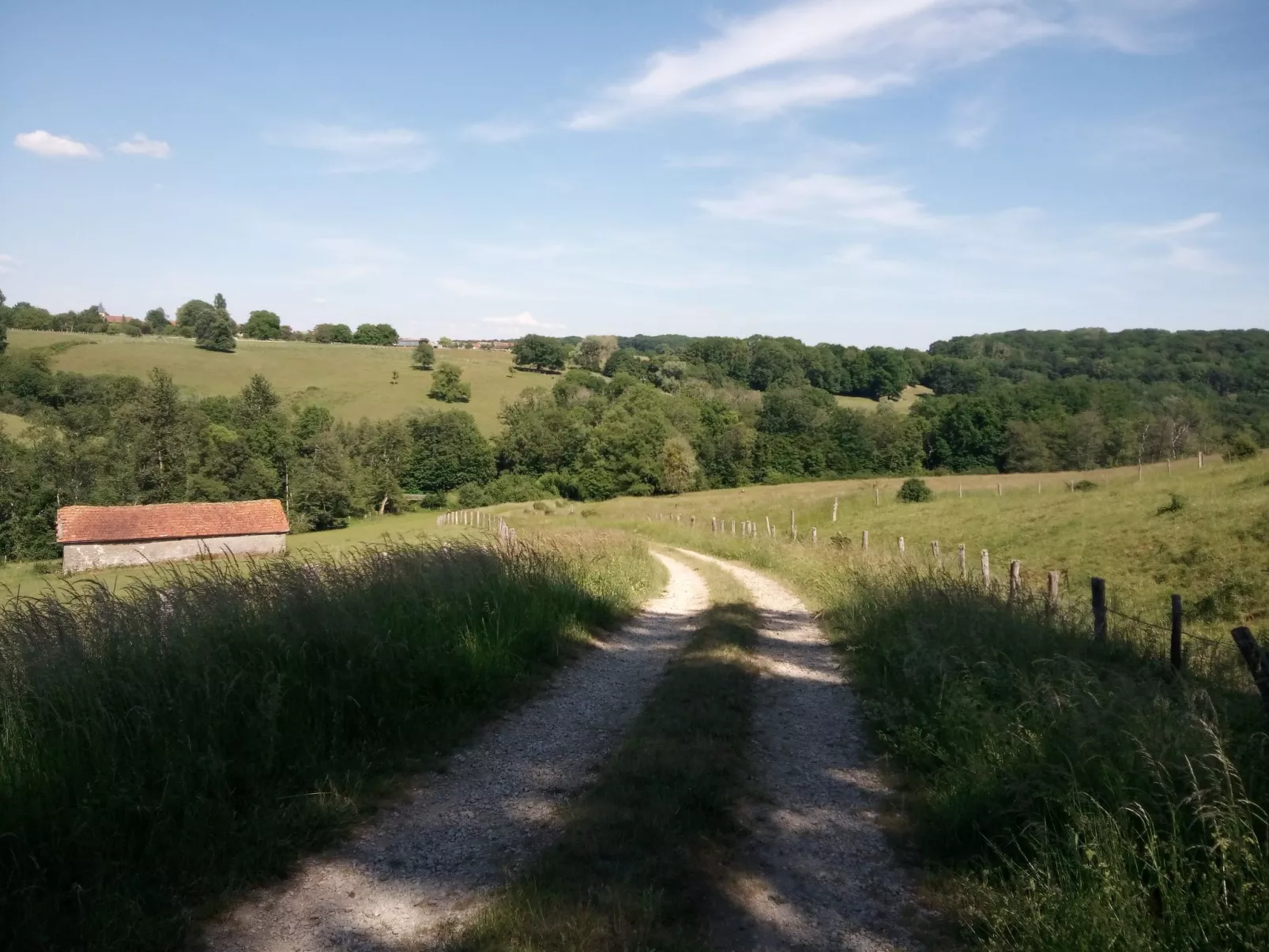 In Celles-En-Bassigny  umzäunter Garten-Dehors
