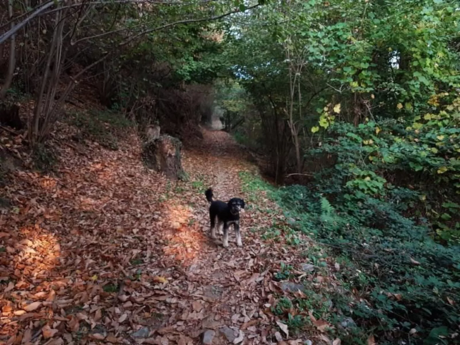 Casa Geissenstall-Dehors