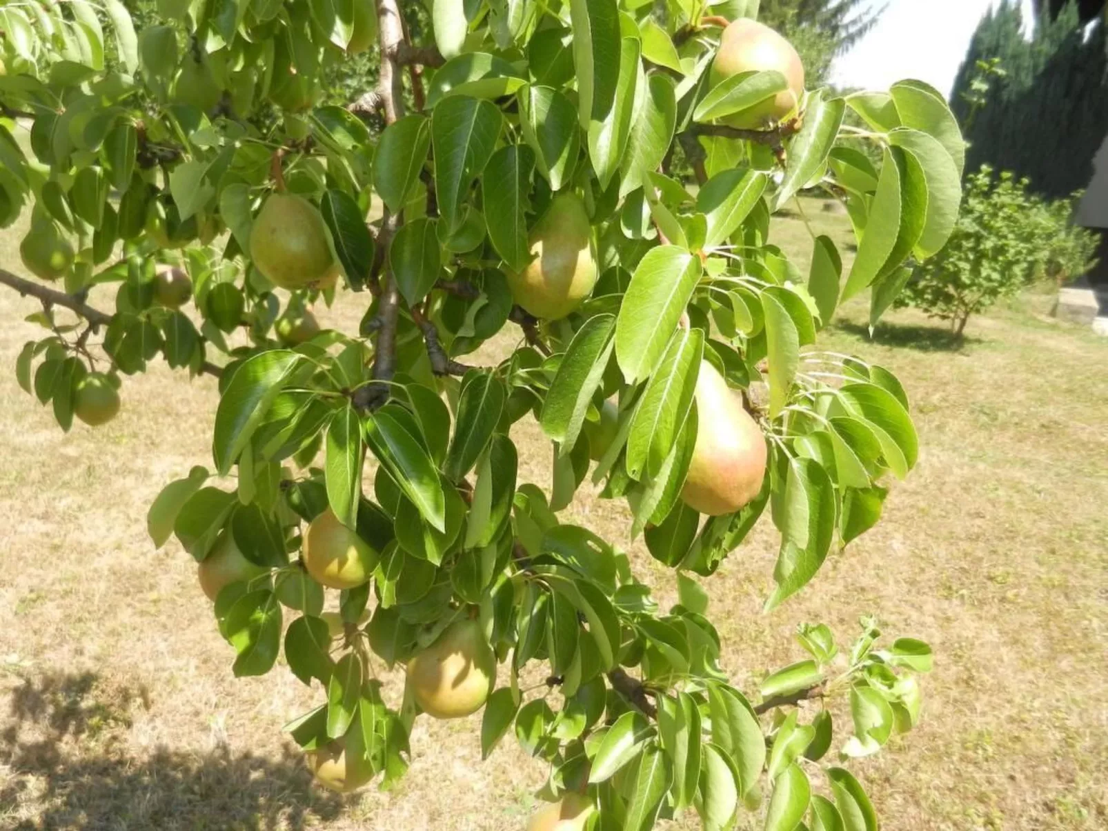 Urlaub für die Seele - Ferienhaus mit Sauna-Image-tags.info