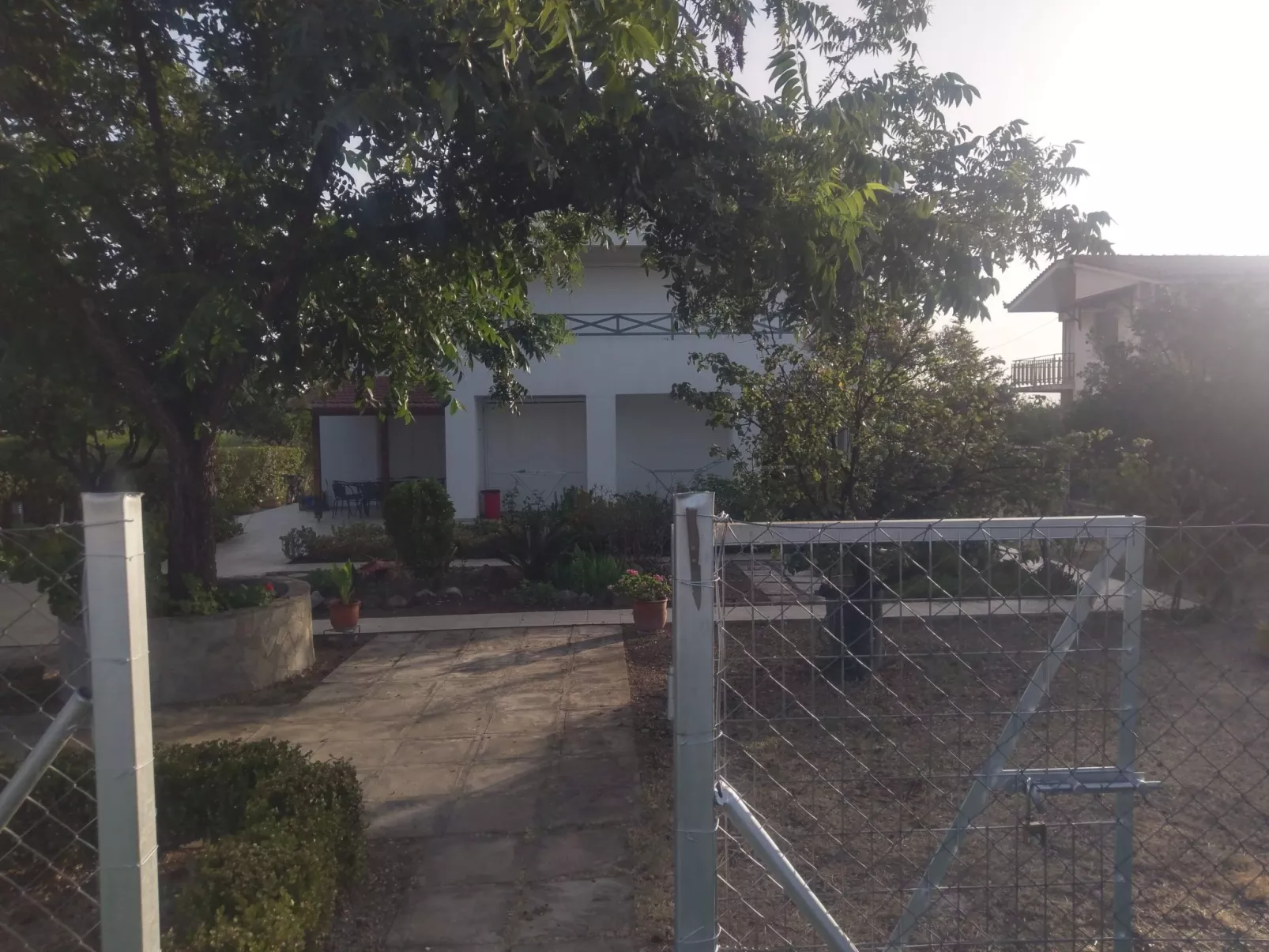 Neben Orangenbaum-Obstgarten-Outside