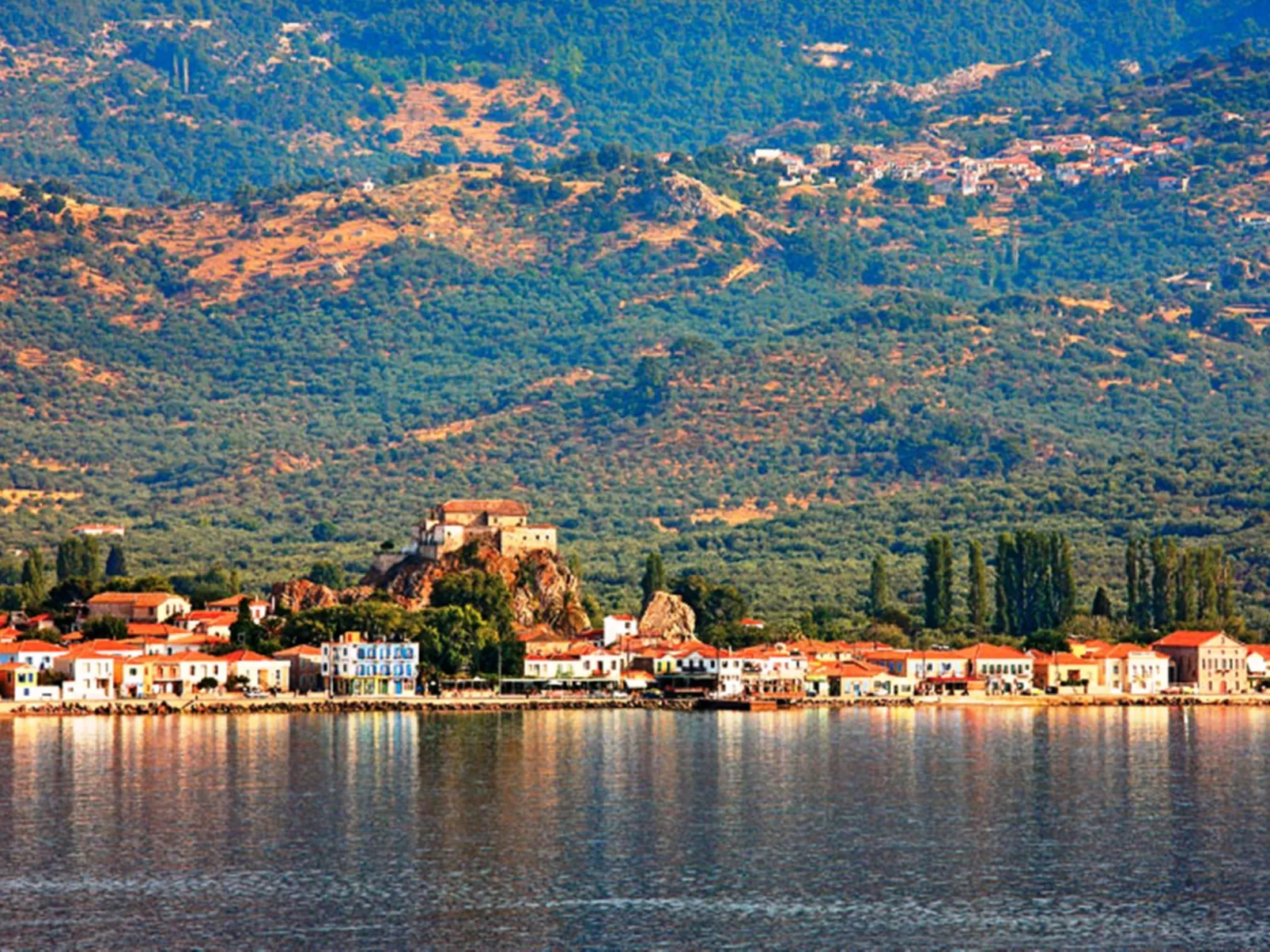 Gaea Gardens Studios-Outside