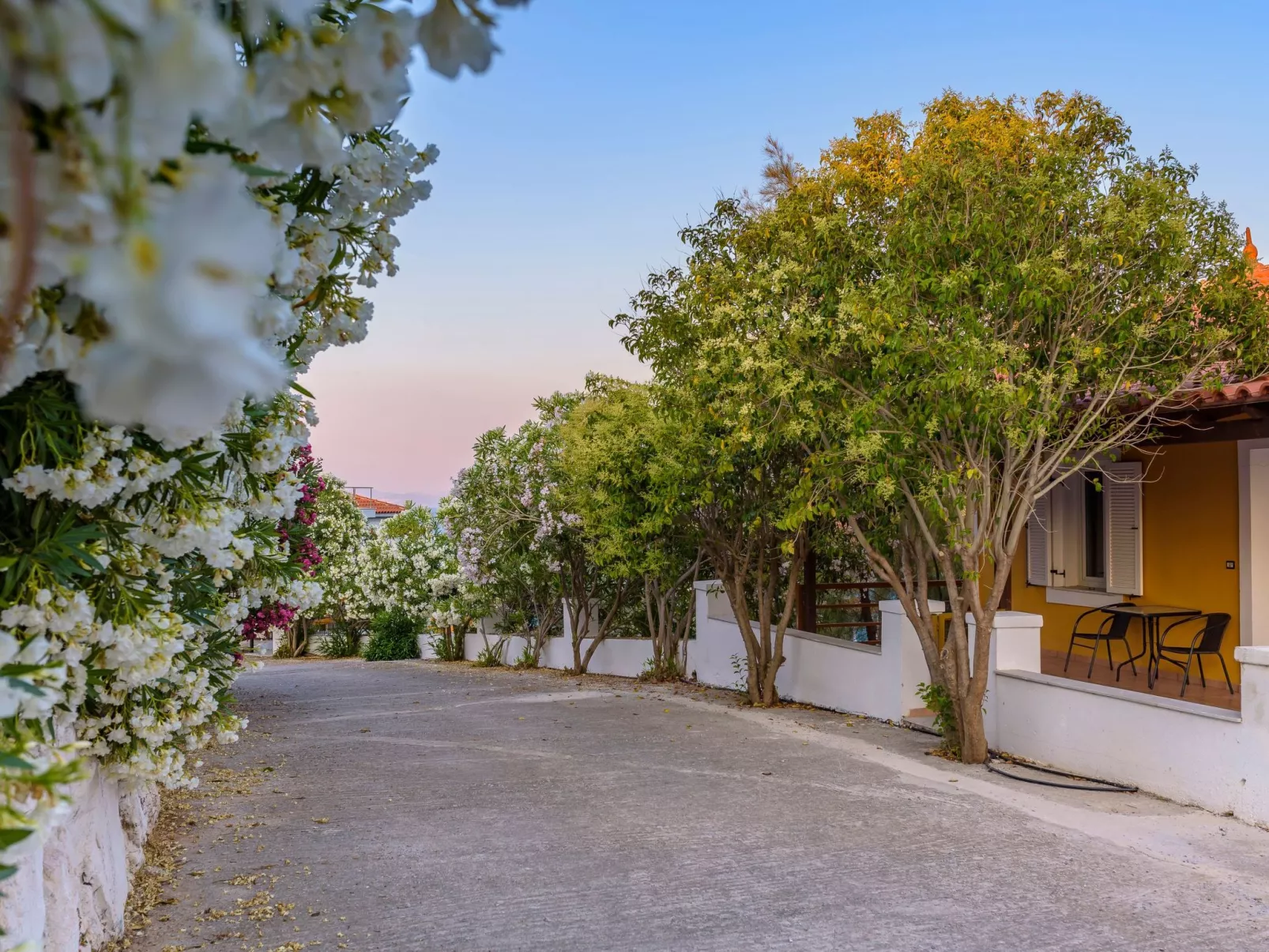 "Yellow Villa"-Outside