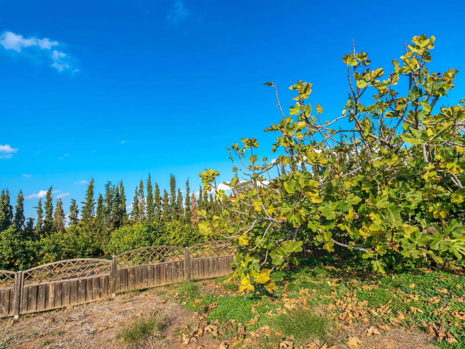 Ferienvilla auf einem privaten und sicheren Grundstück-Draußen