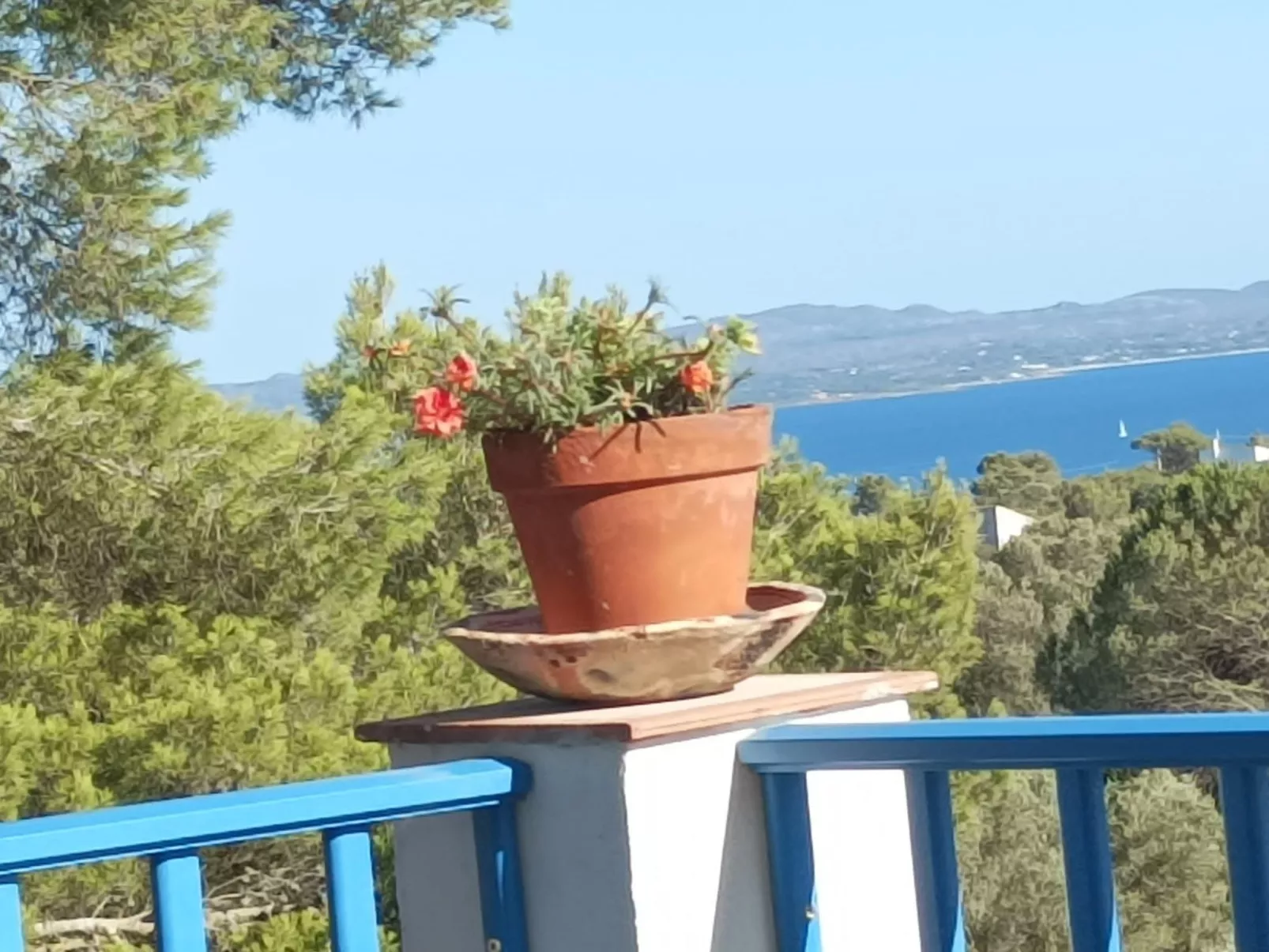 'La casa dei Nonni-Image-tags.info