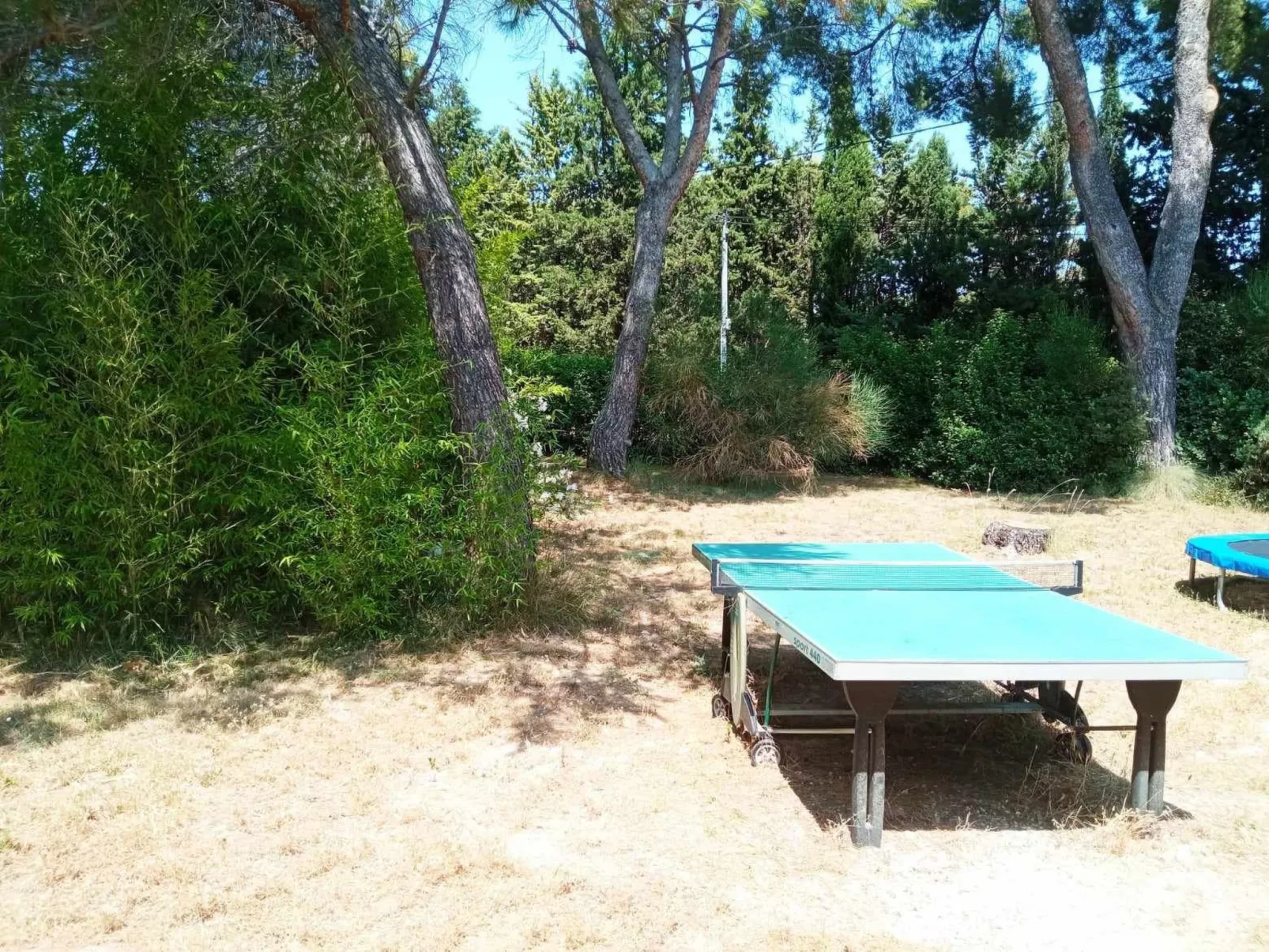La petite maison sous les pinins-innenpool-Draußen