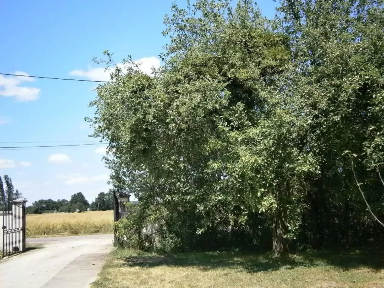 Le gite du randonneur (Das Ferienhaus des Wanderers)-Image-tags.info