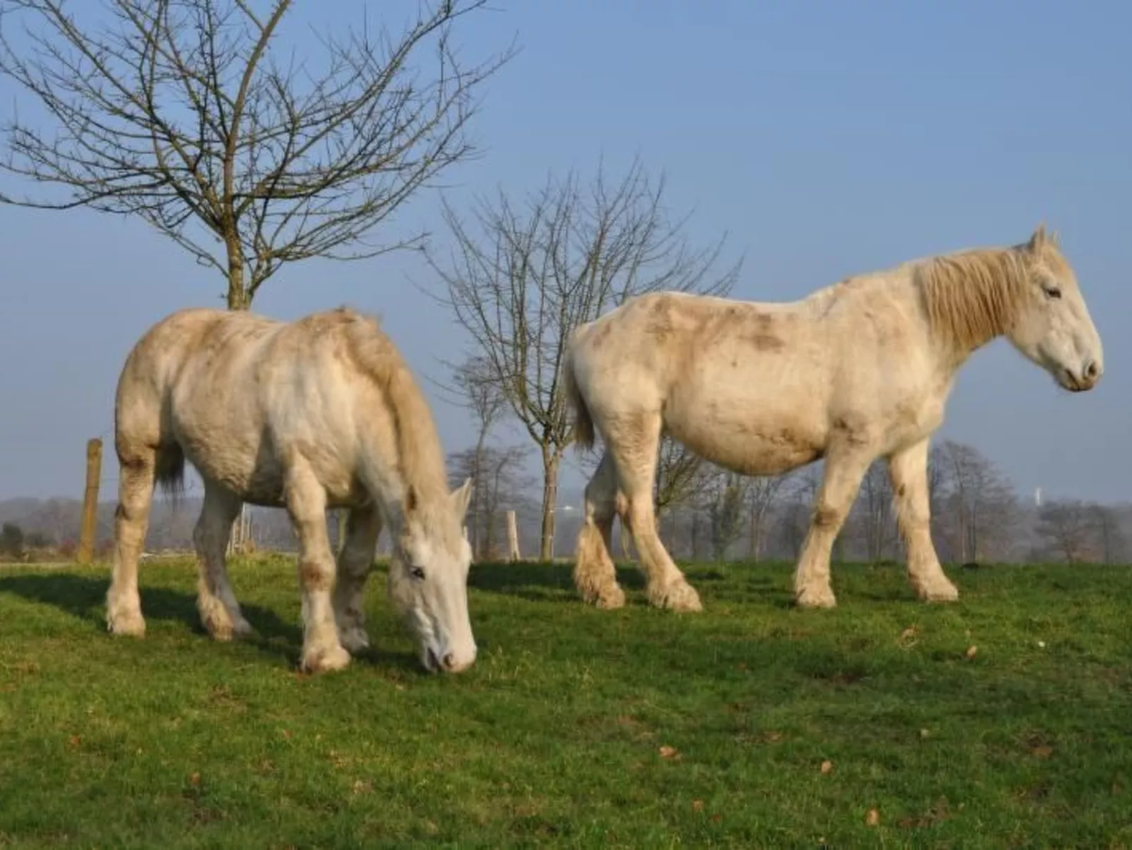 Für acht Personen-Image-tags.info