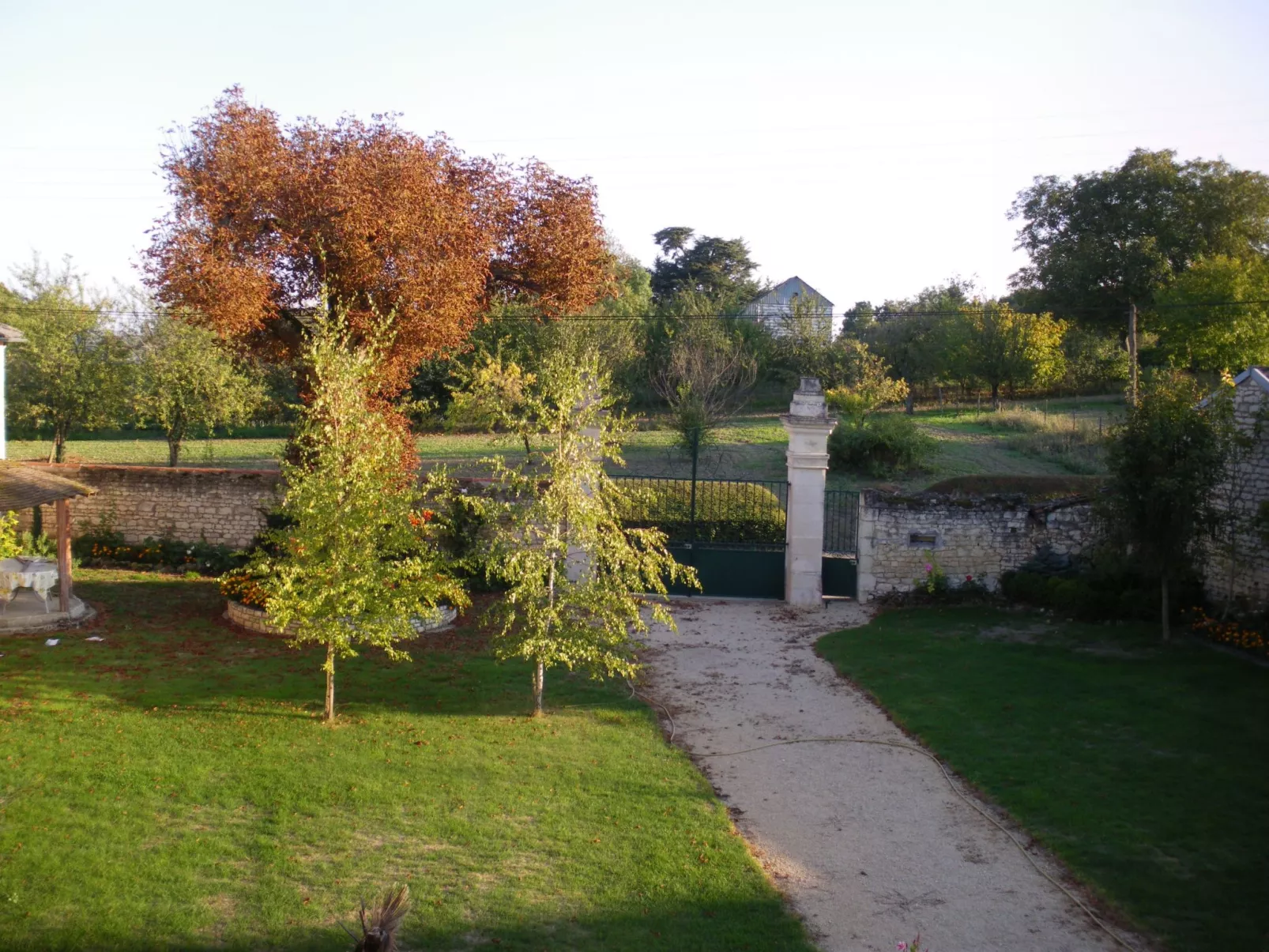 Die Linden-Image-tags.info