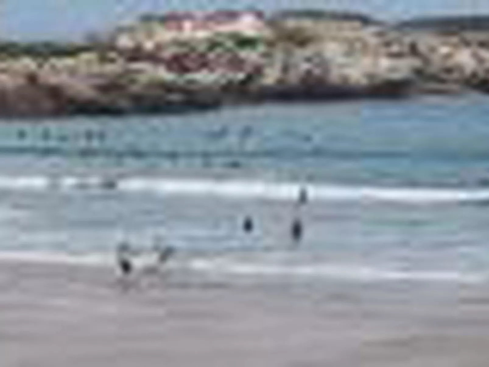 Brandneue Strandwohnung 1-Outside