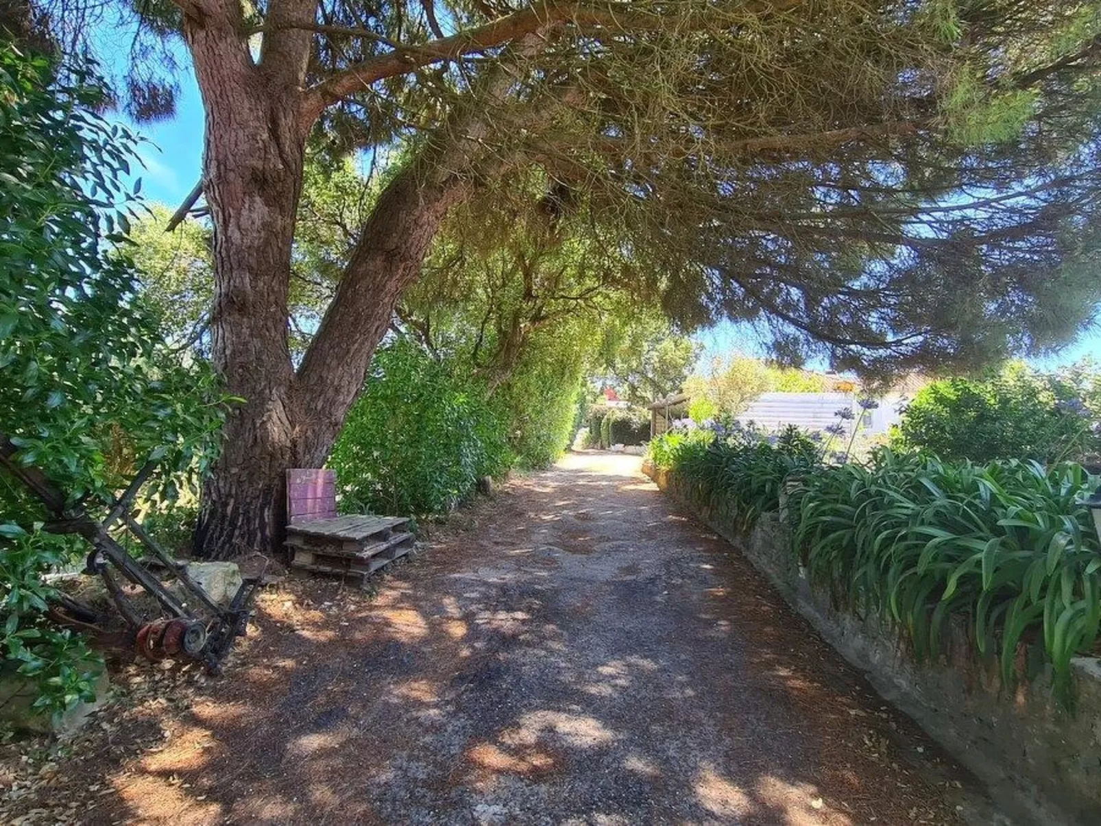 Haus in einem Bauernhof zwischen Weinbergen 2-Outside