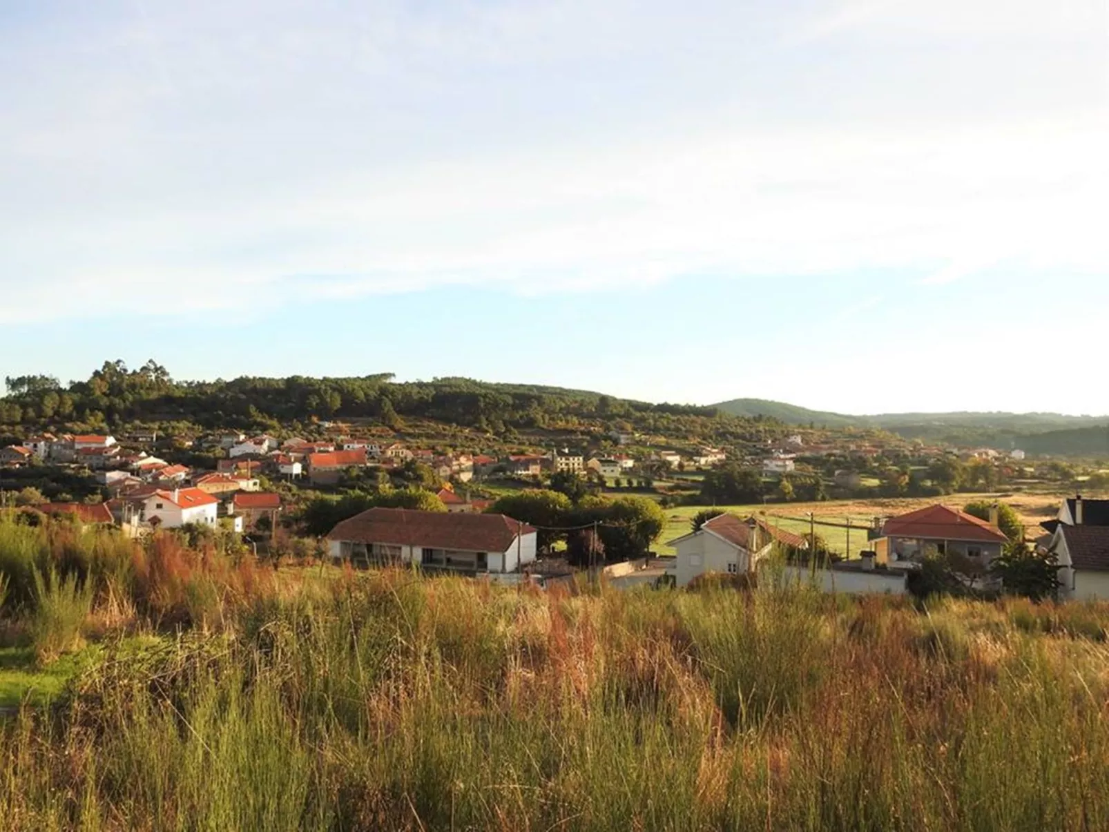 Ferien auf dem Bauernhof mit Weinberg-Outside
