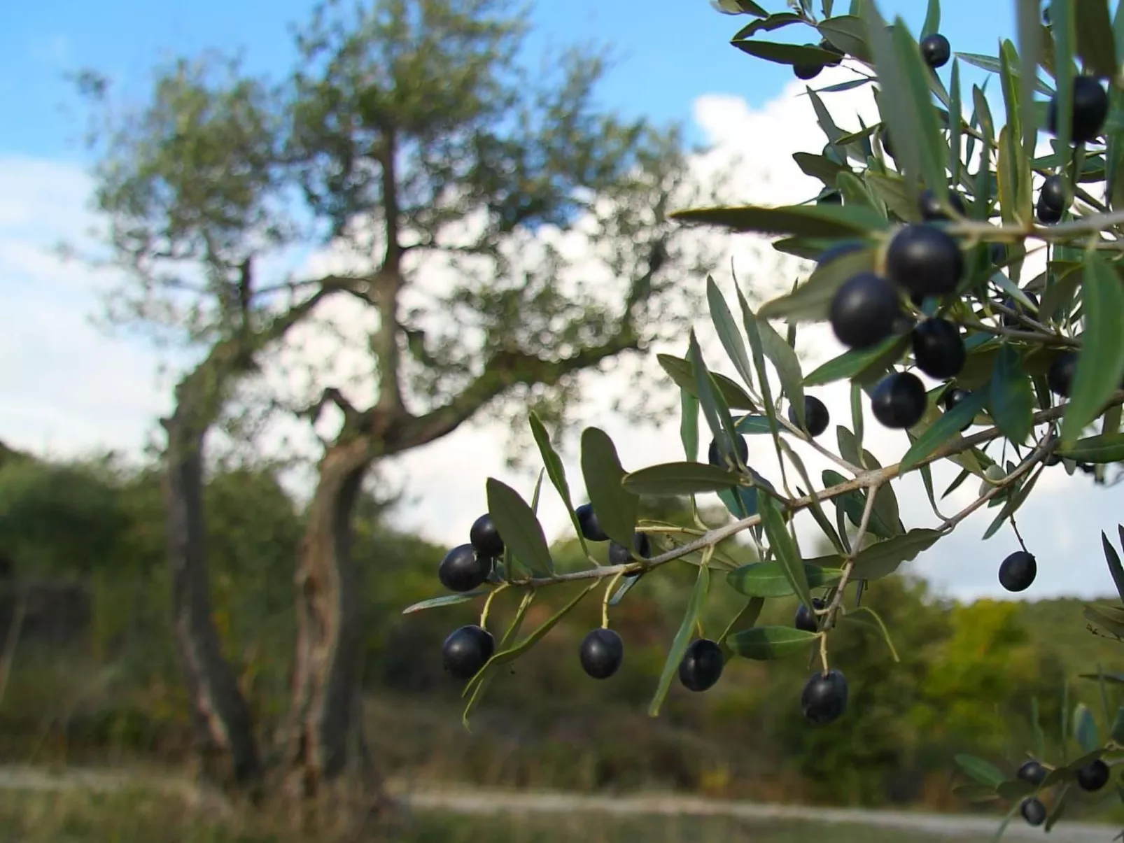 Gemütliches Studio im Erdgeschoss, mit Terrasse-Draußen