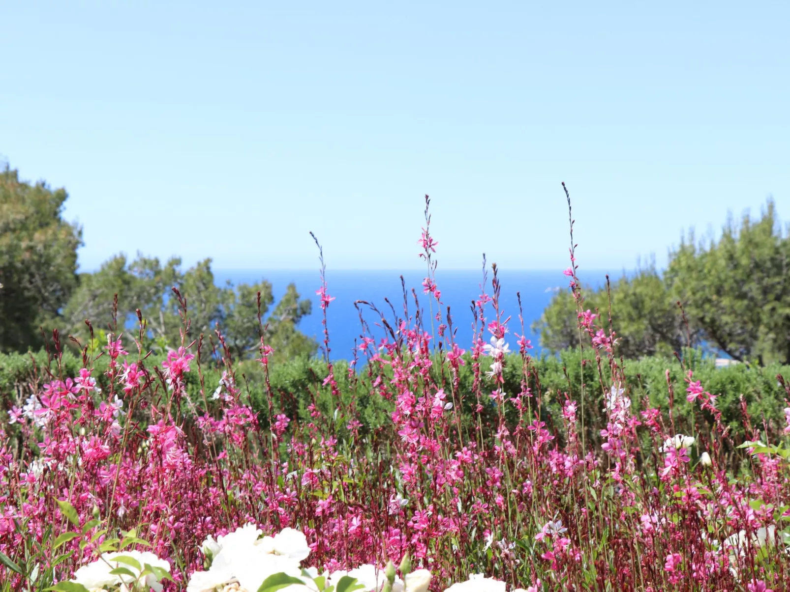 "Mesomax" mit Meerblick-Dehors