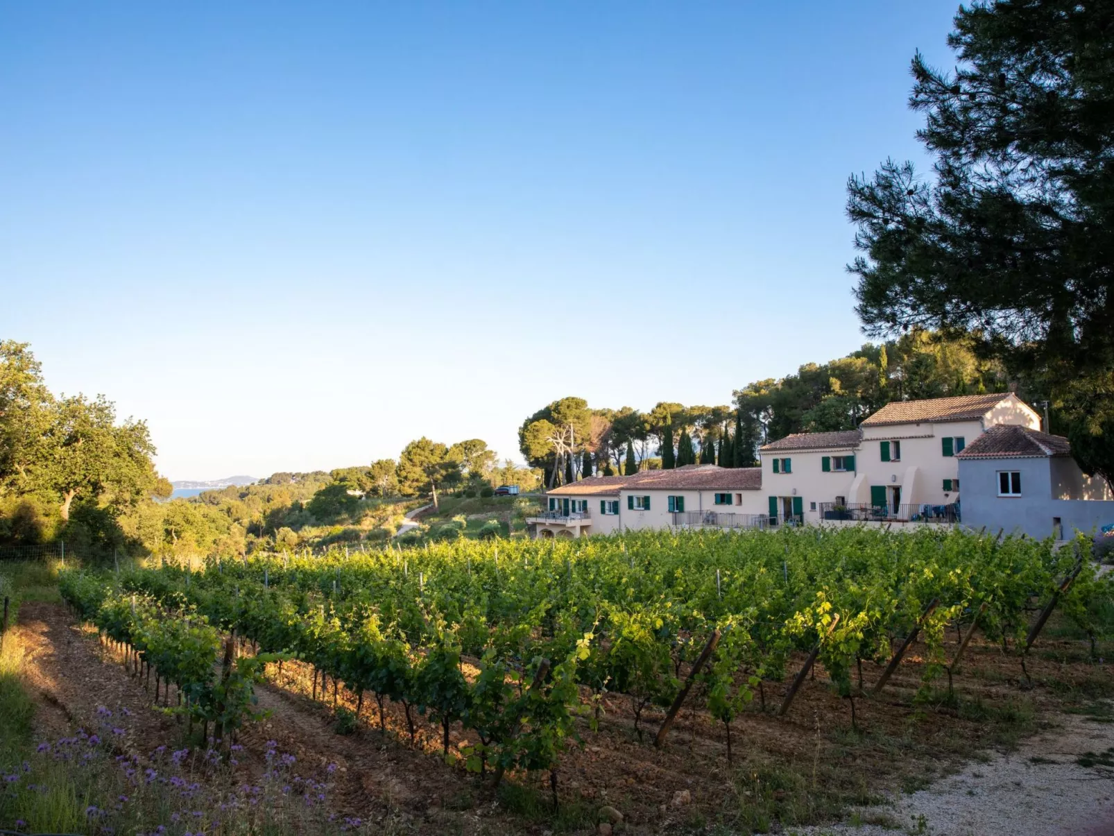Gîte im Herzen der Weinberge, Terrasse mit atemberaubendem Blick auf das Meer, - Draußen