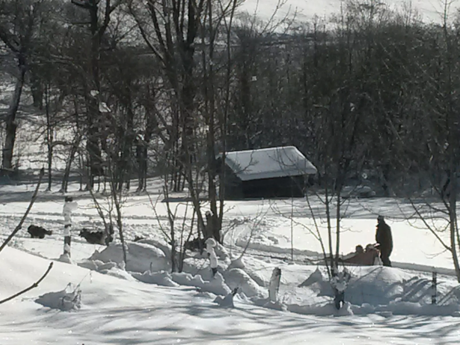 Wohnung in Chalet-Dehors